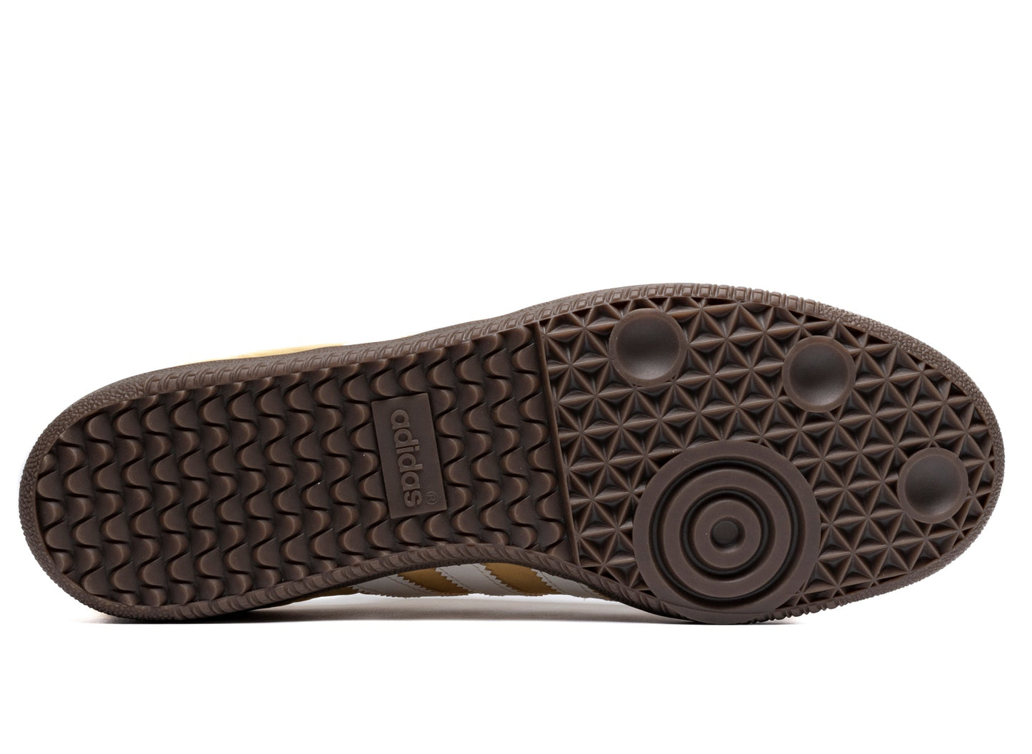 studio-shot-v9-85271