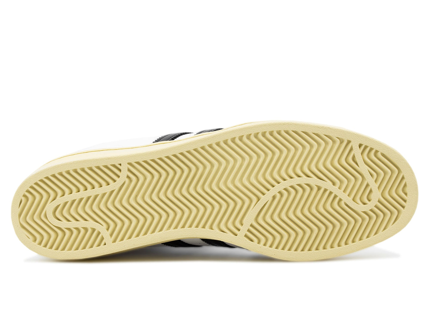 studio-shot-v9-61529