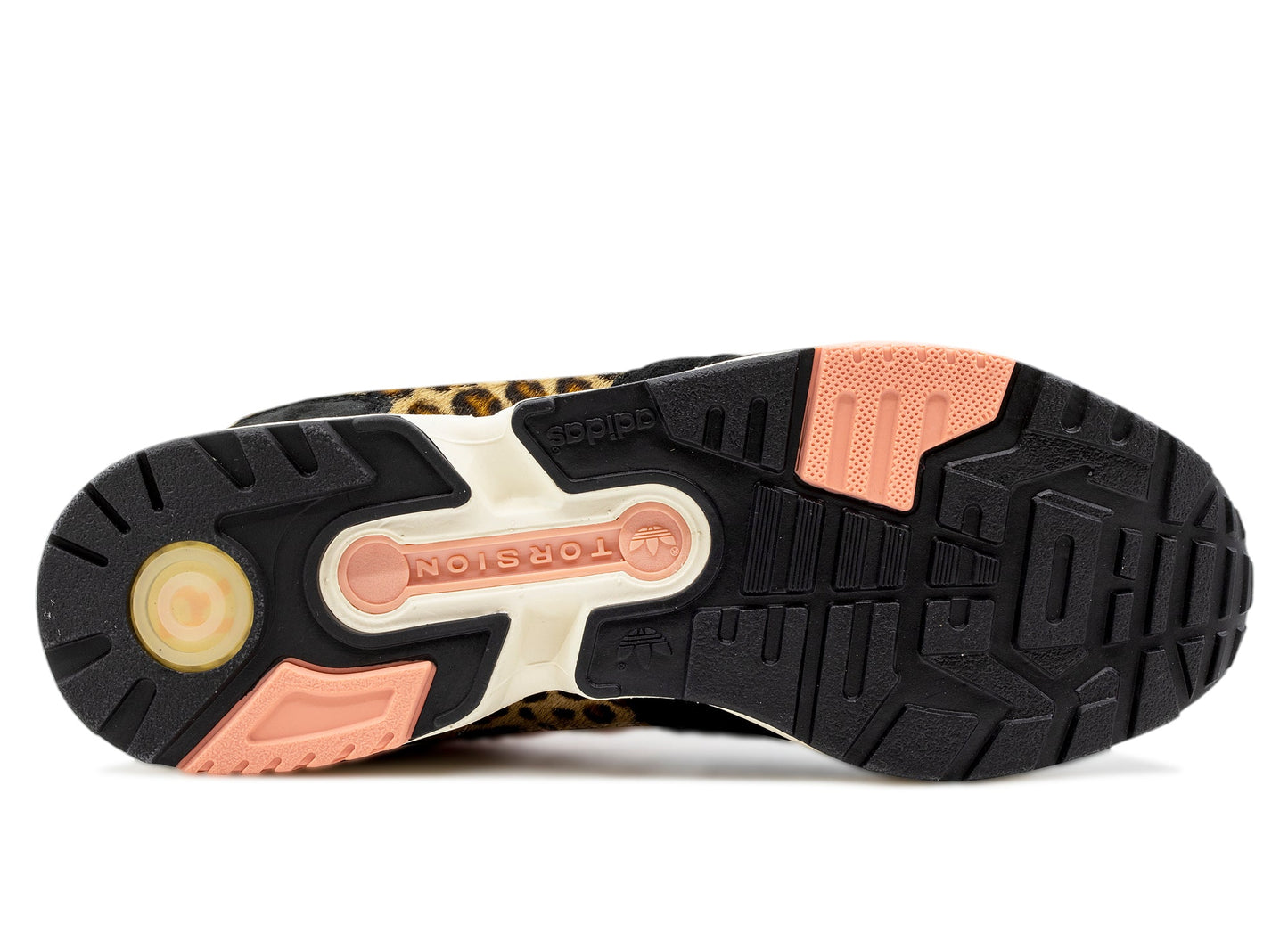 studio-shot-v9-70838