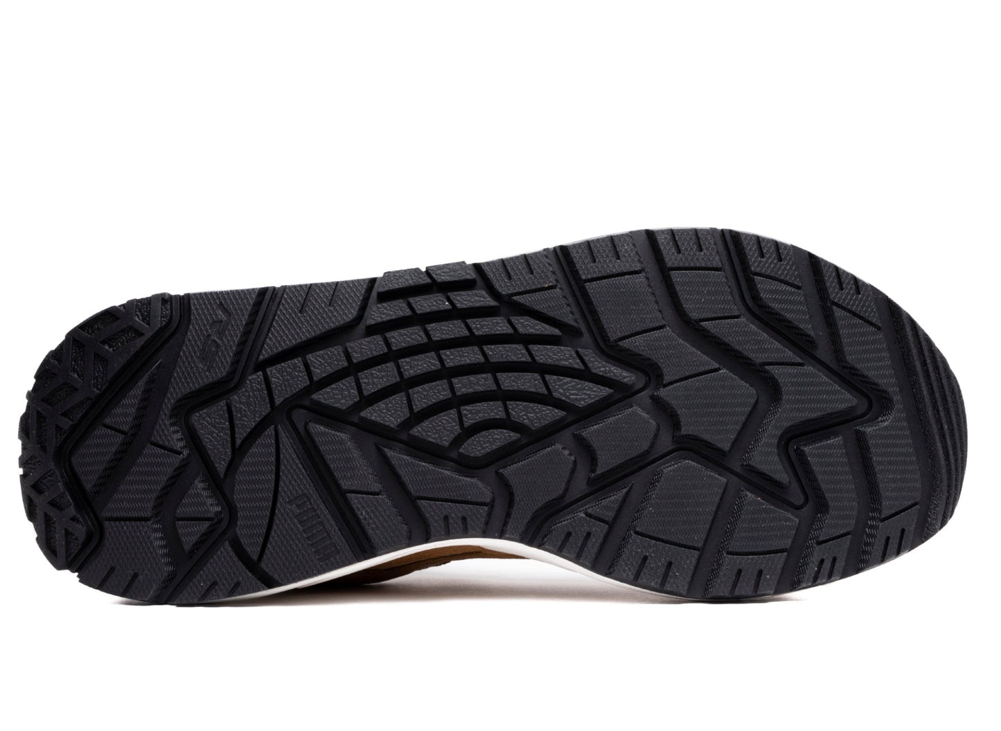 studio-shot-v9-81274