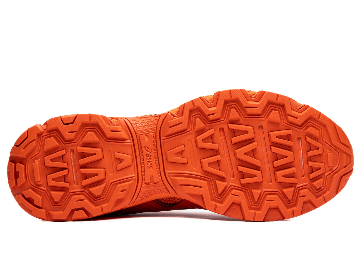 studio-shot-v9-64288