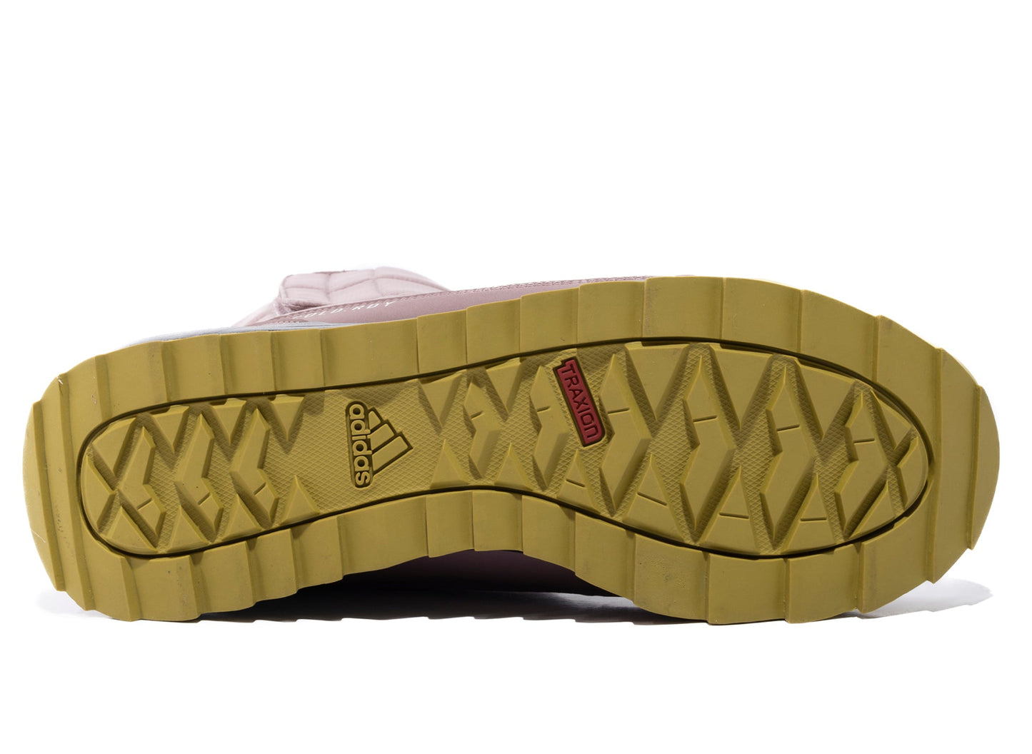 studio-shot-v9-94690