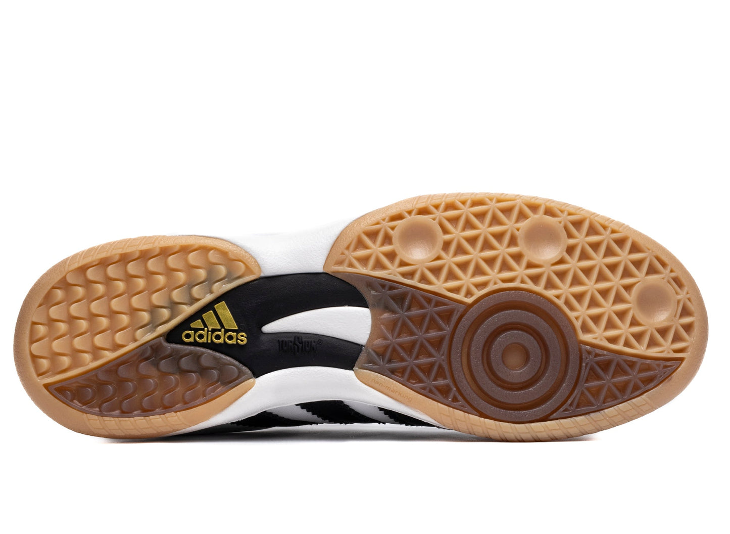 studio-shot-v9-50261