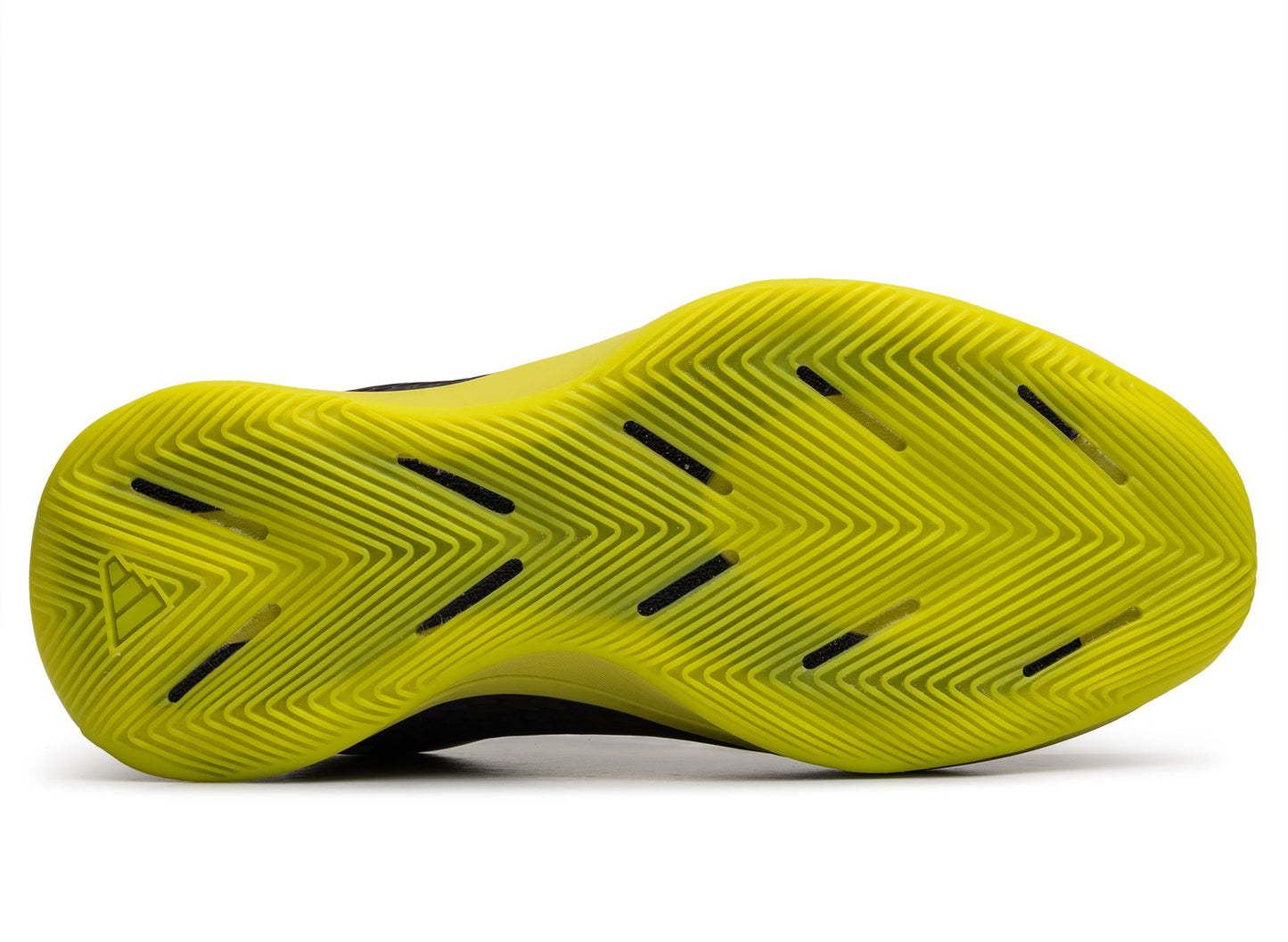 studio-shot-v9-37787