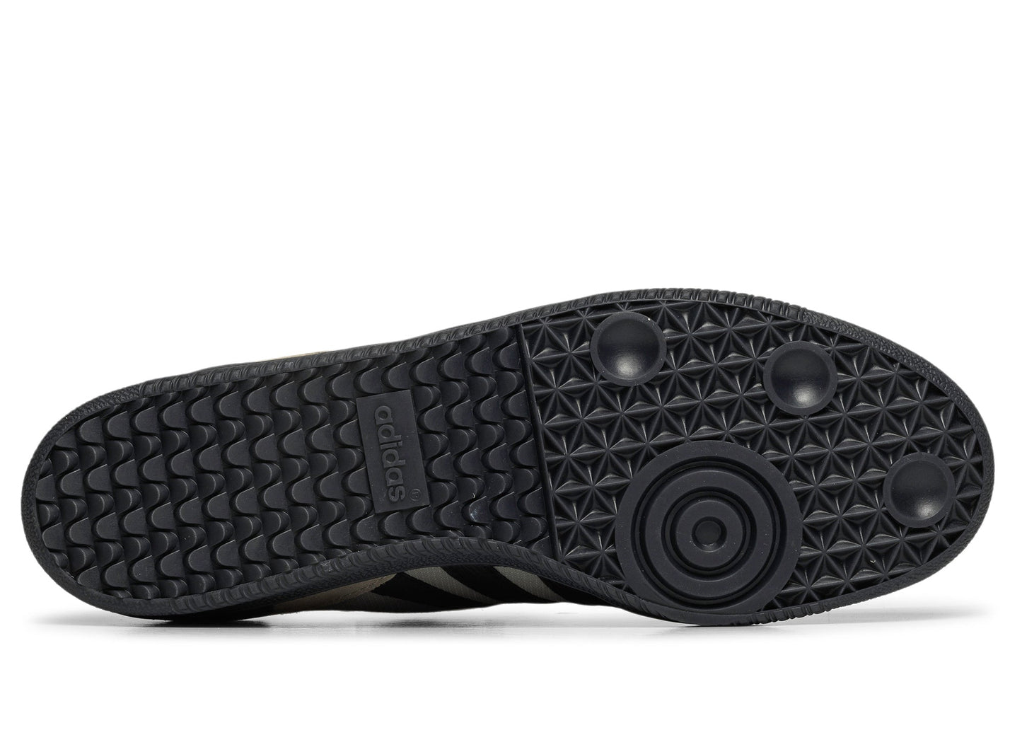 studio-shot-v9-50672