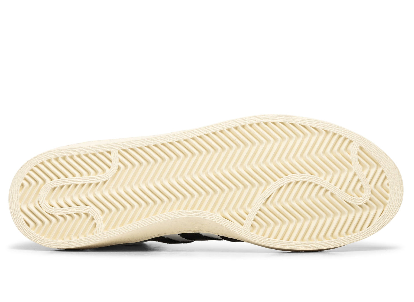 studio-shot-v9-53792