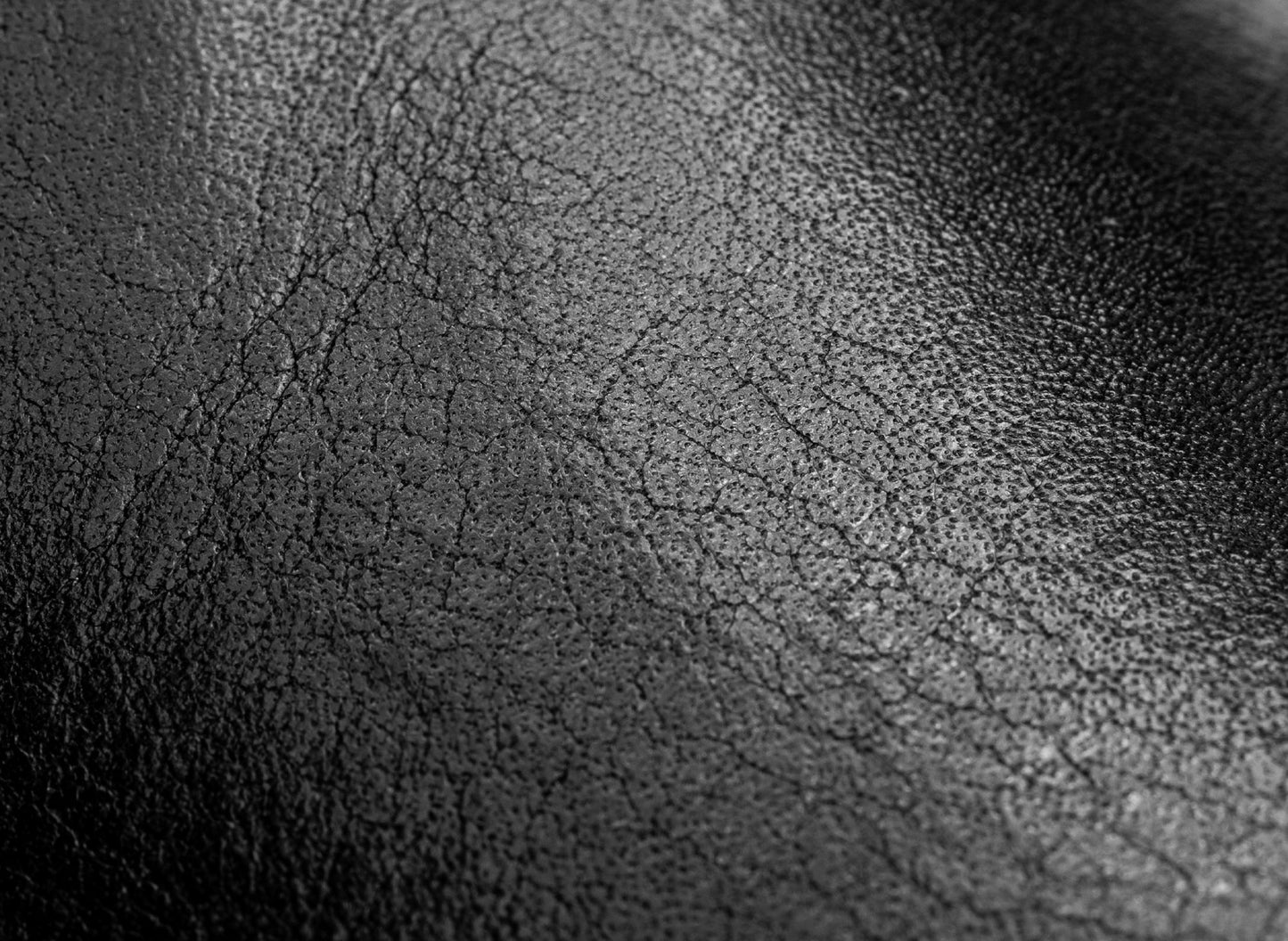 studio-shot-v9-29560