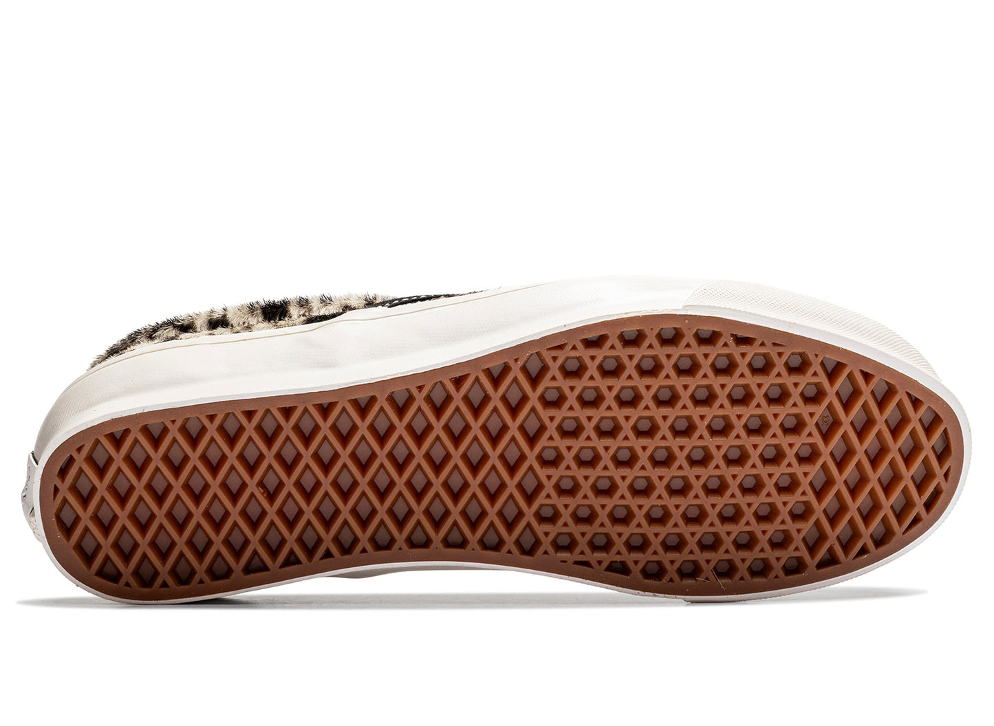 studio-shot-v9-40813