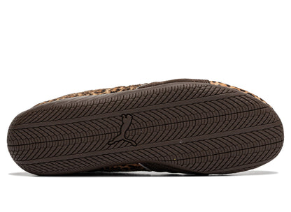 studio-shot-v9-22005