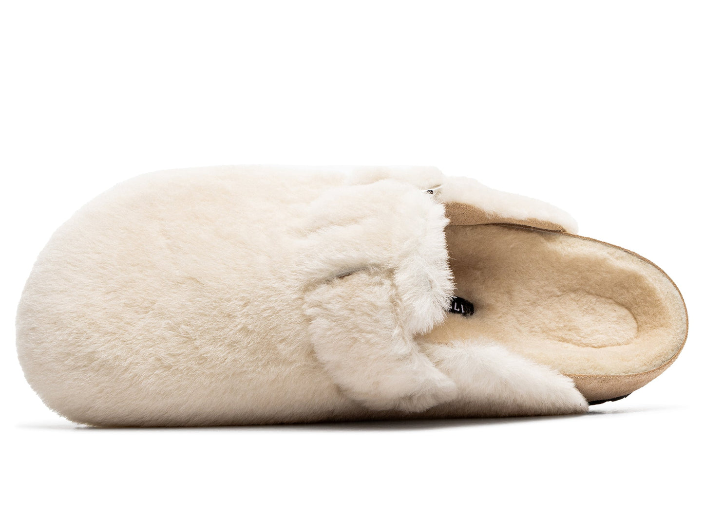 studio-shot-v9-15842