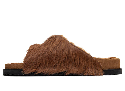 studio-shot-v9-68636