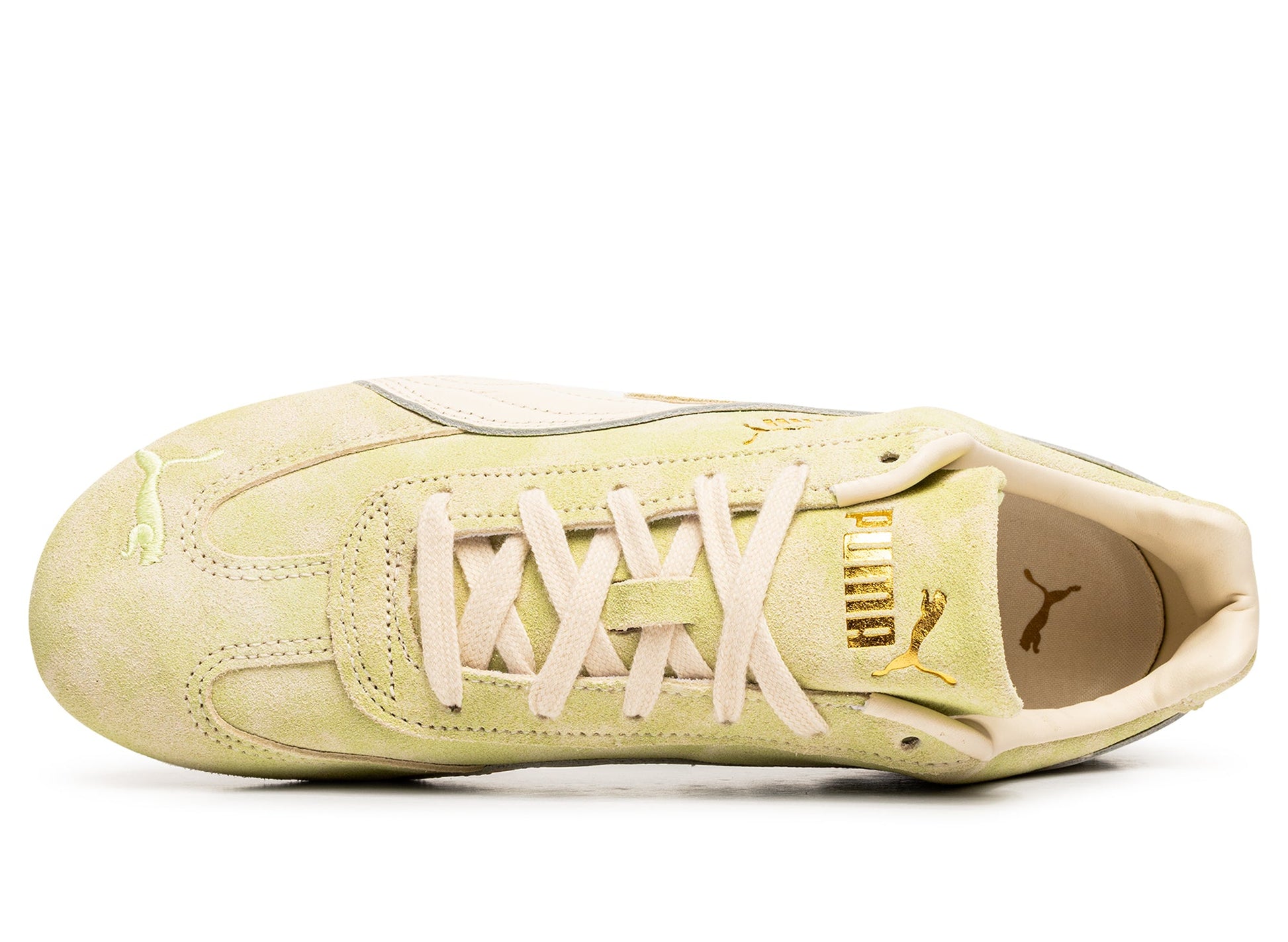 studio-shot-v9-40185