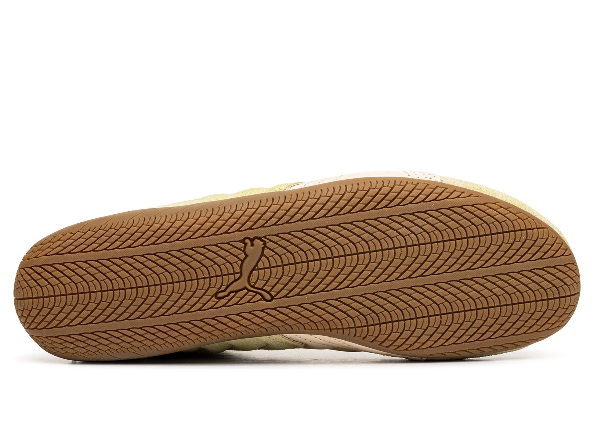 studio-shot-v9-59383