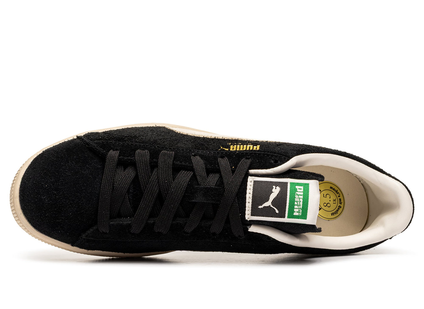 studio-shot-v9-95856