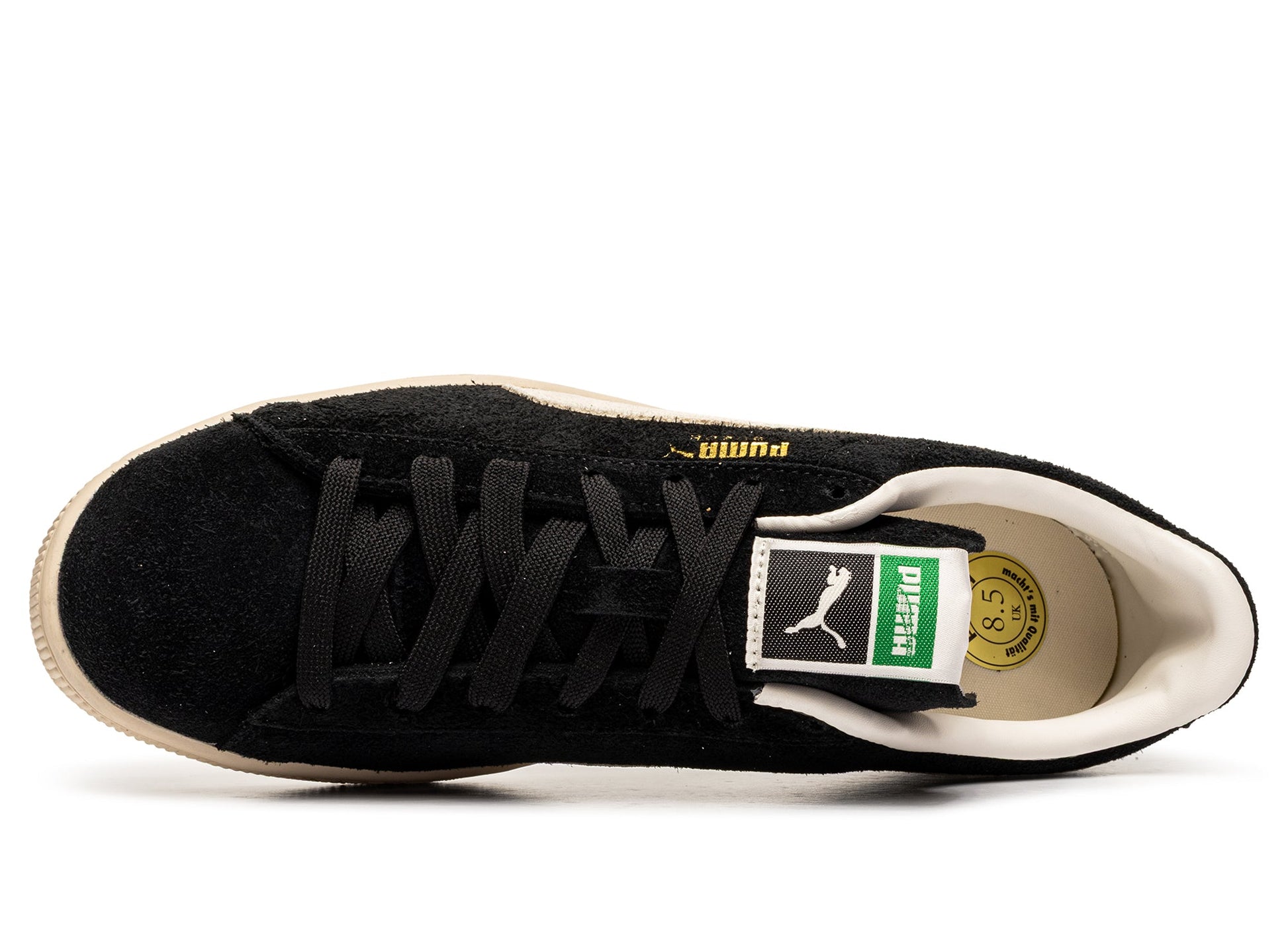 studio-shot-v9-95856