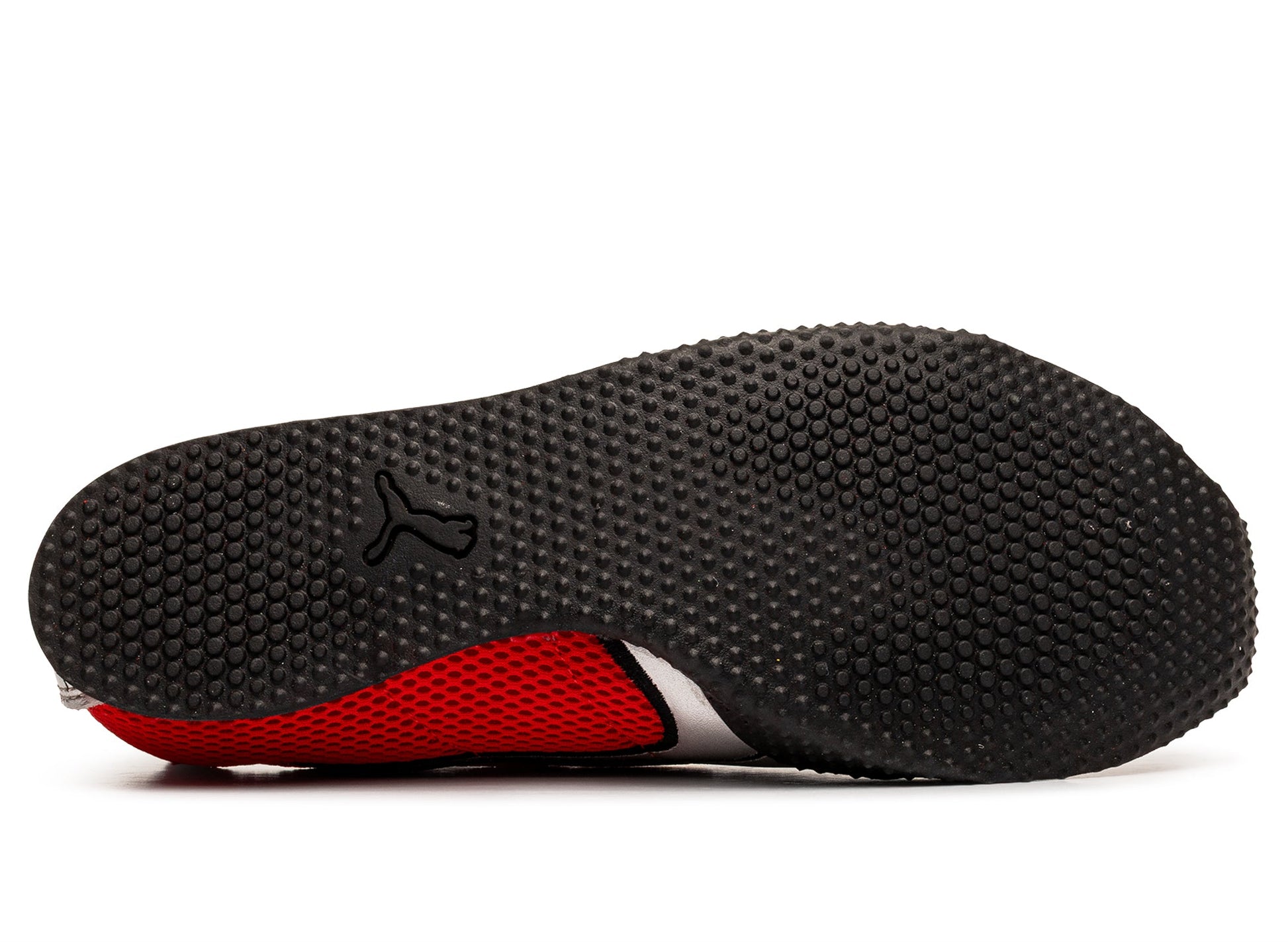 studio-shot-v9-22934