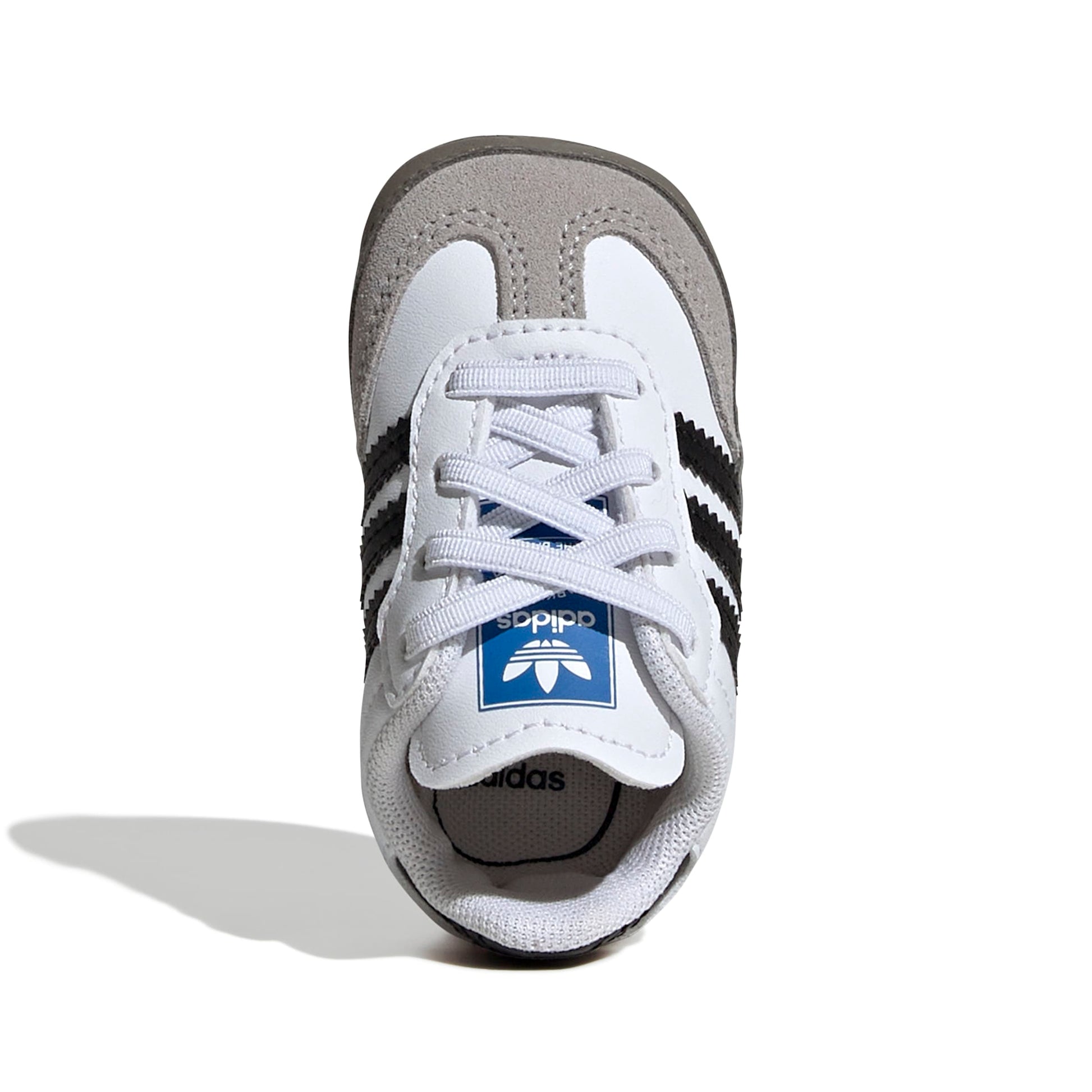 studio-shot-v5-29331