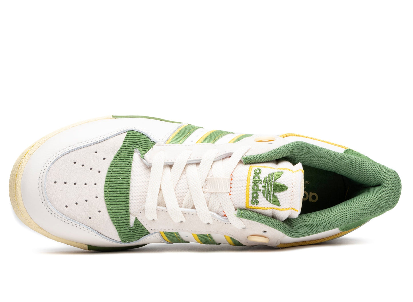 studio-shot-v9-66933