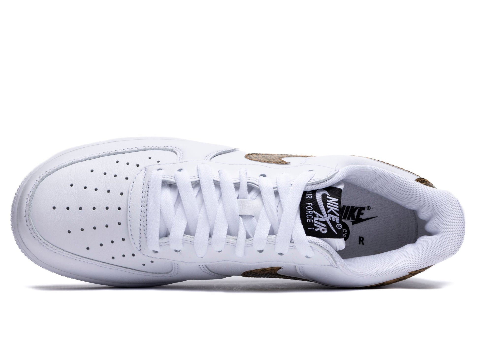 studio-shot-v9-12181