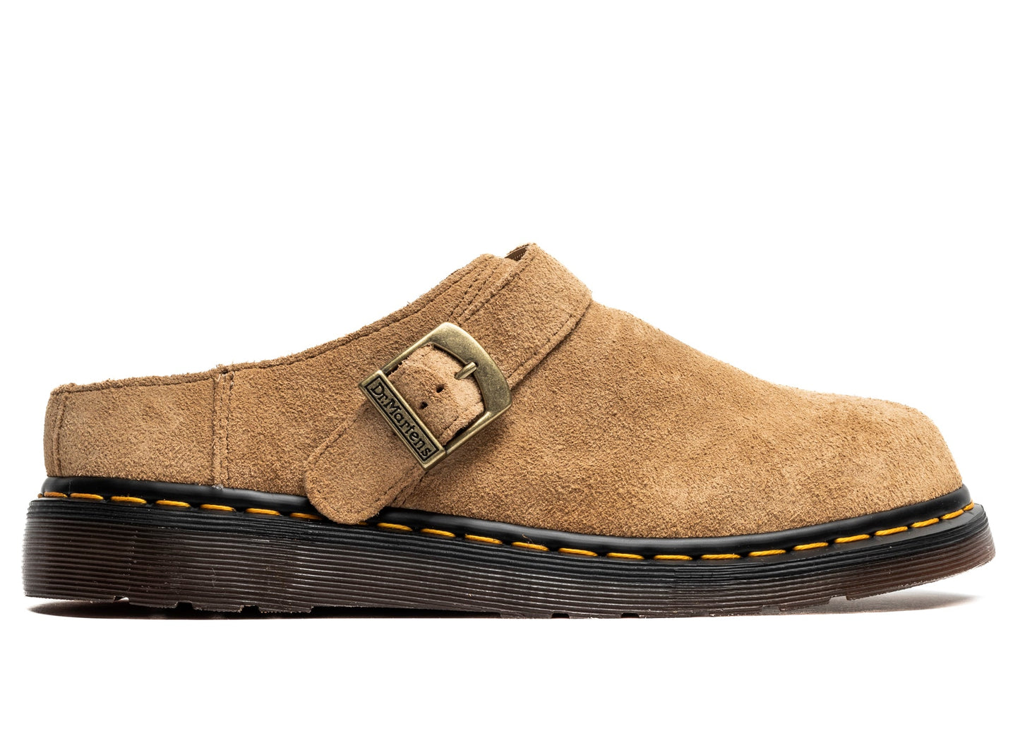 studio-shot-v9-13702