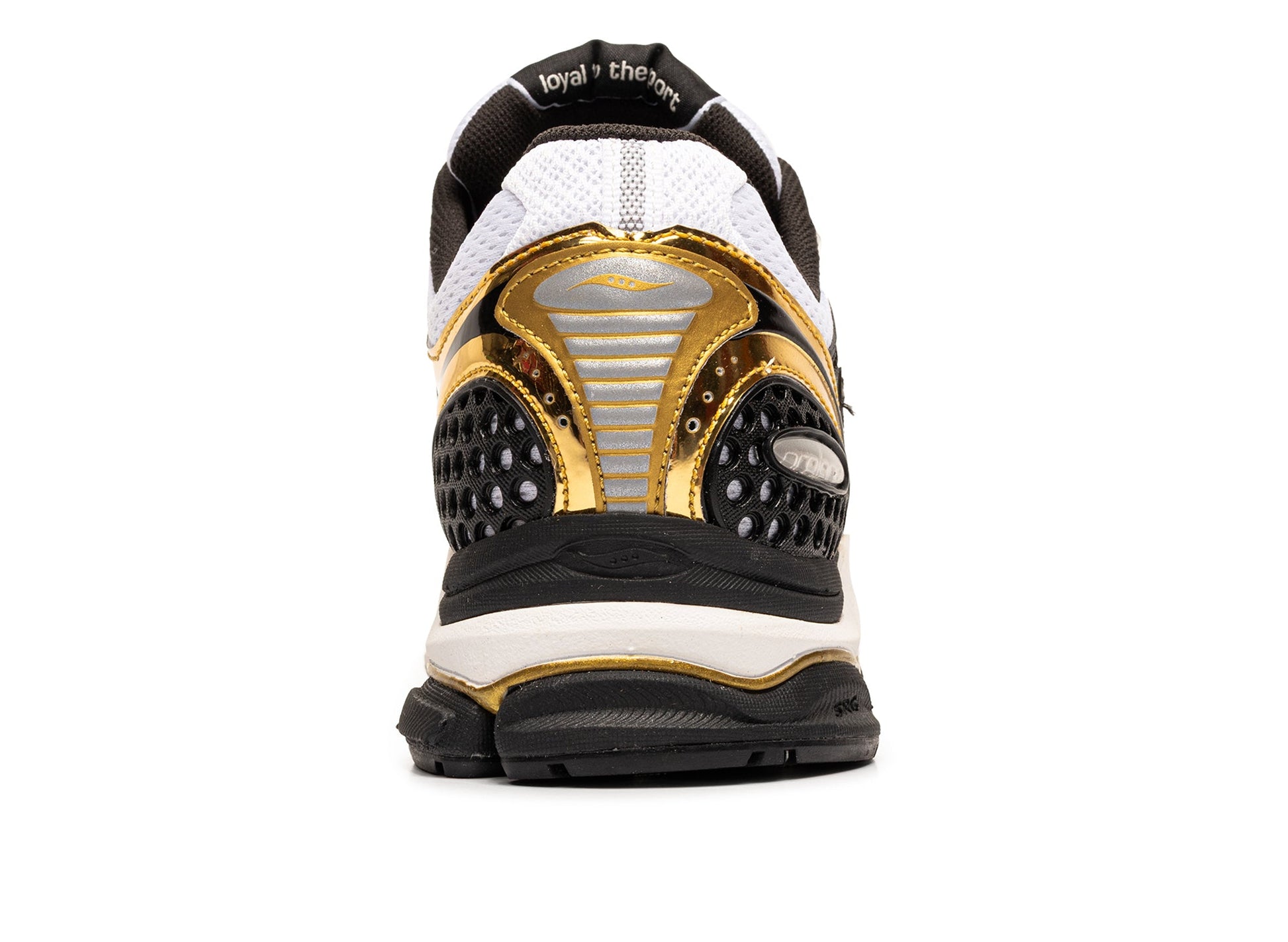 studio-shot-v9-66442