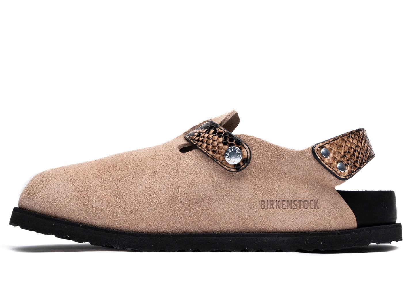 studio-shot-v9-19370