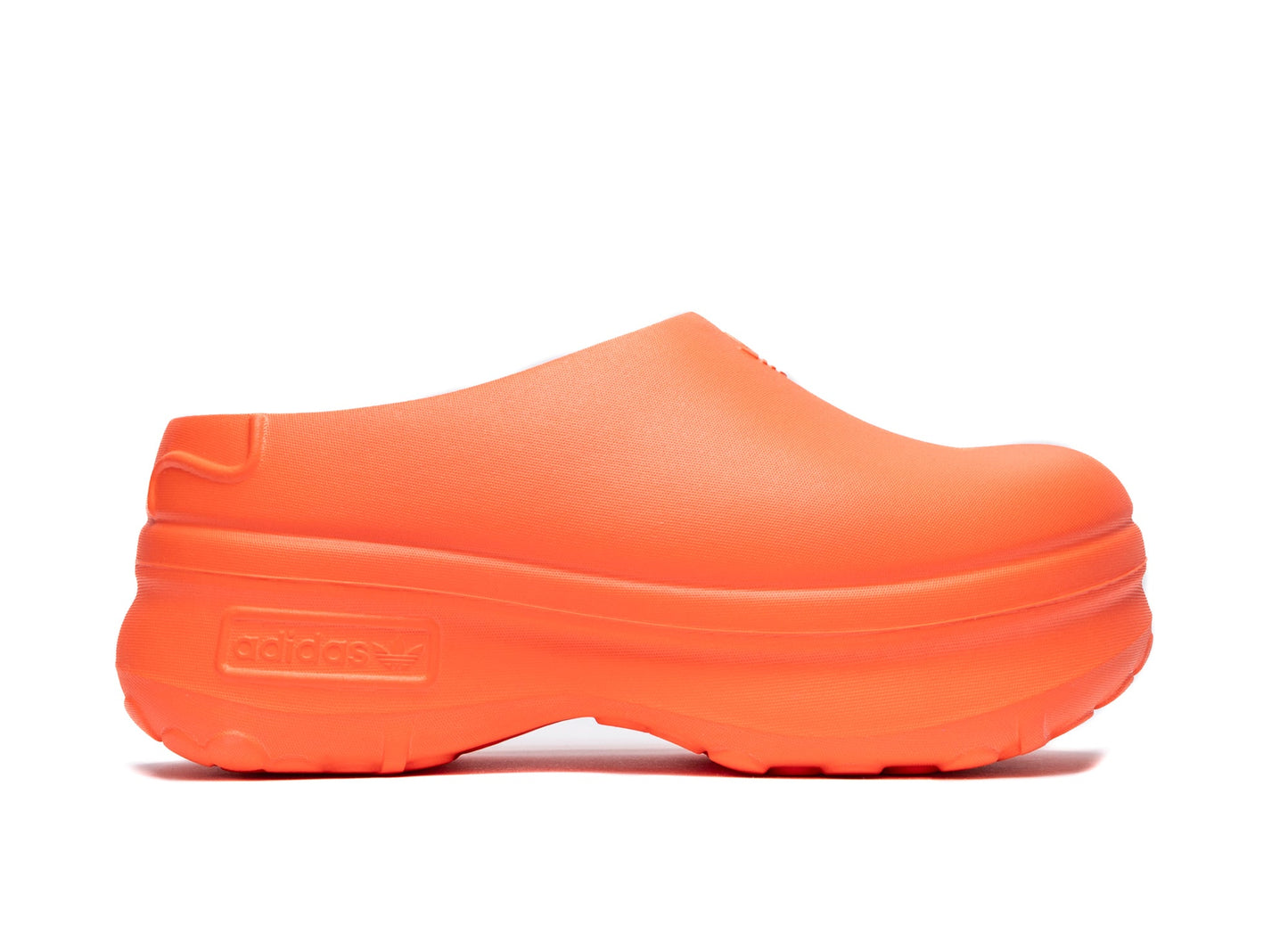 studio-shot-v9-39842