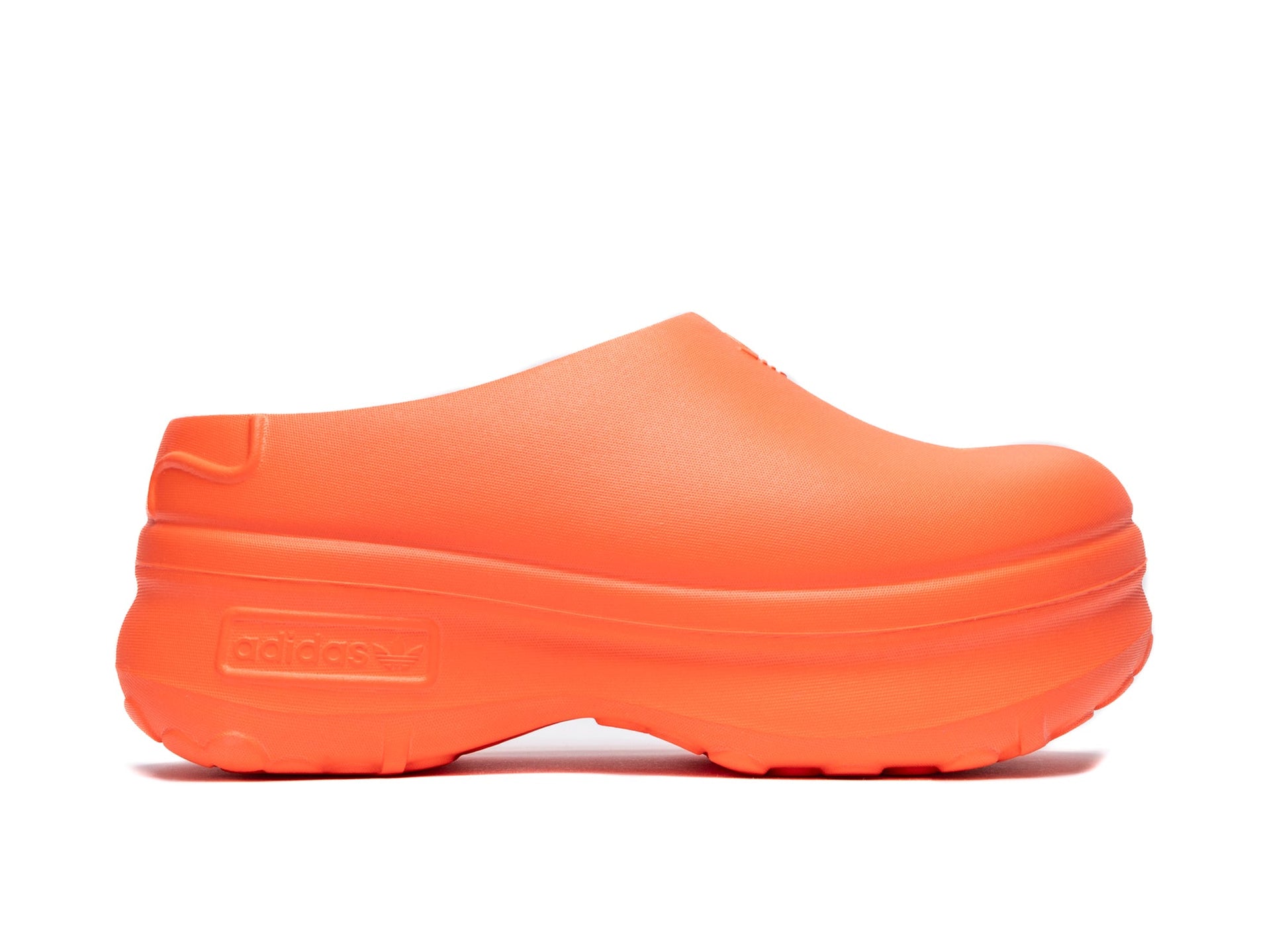 studio-shot-v9-39842