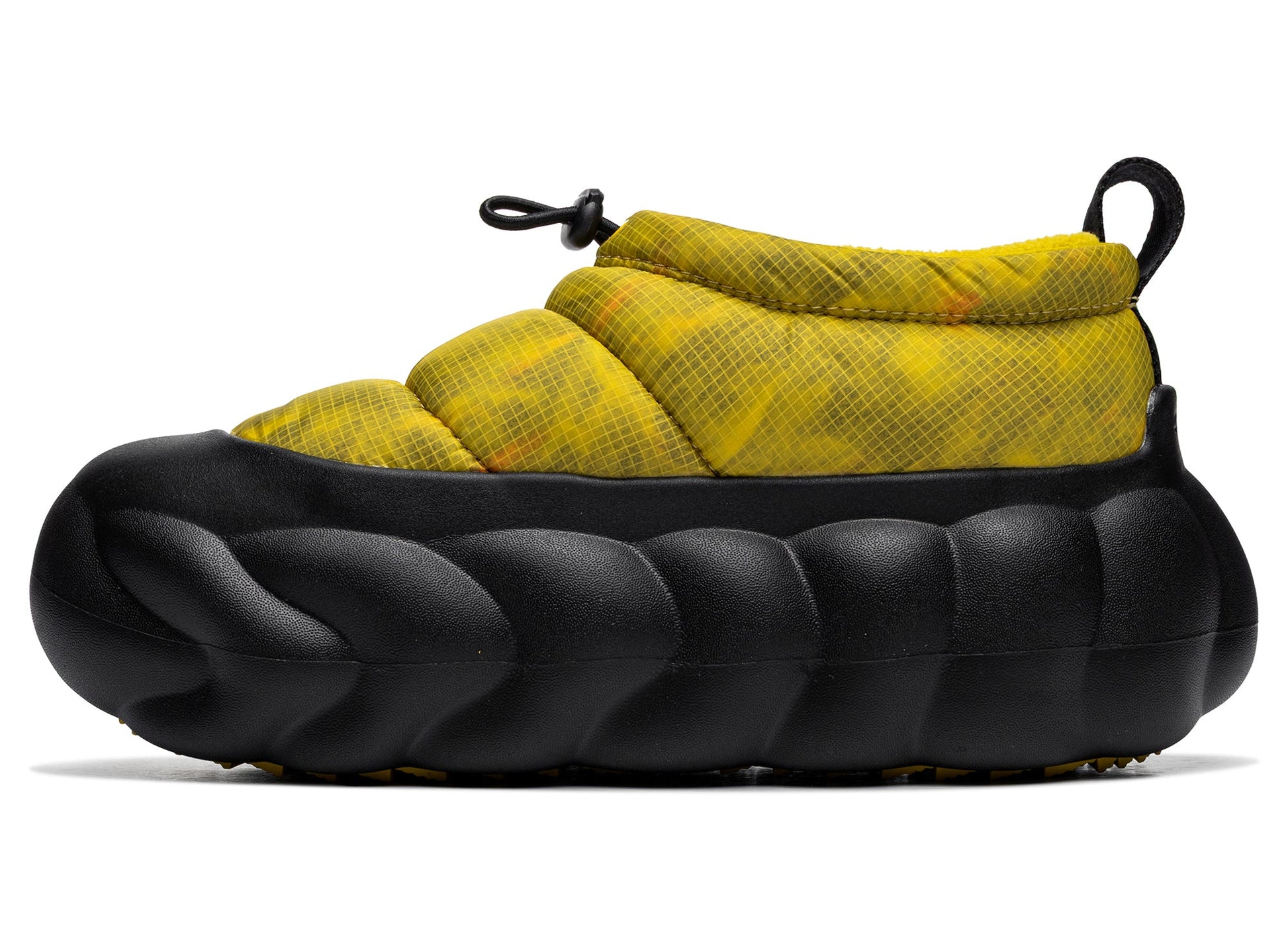 studio-shot-v9-78937