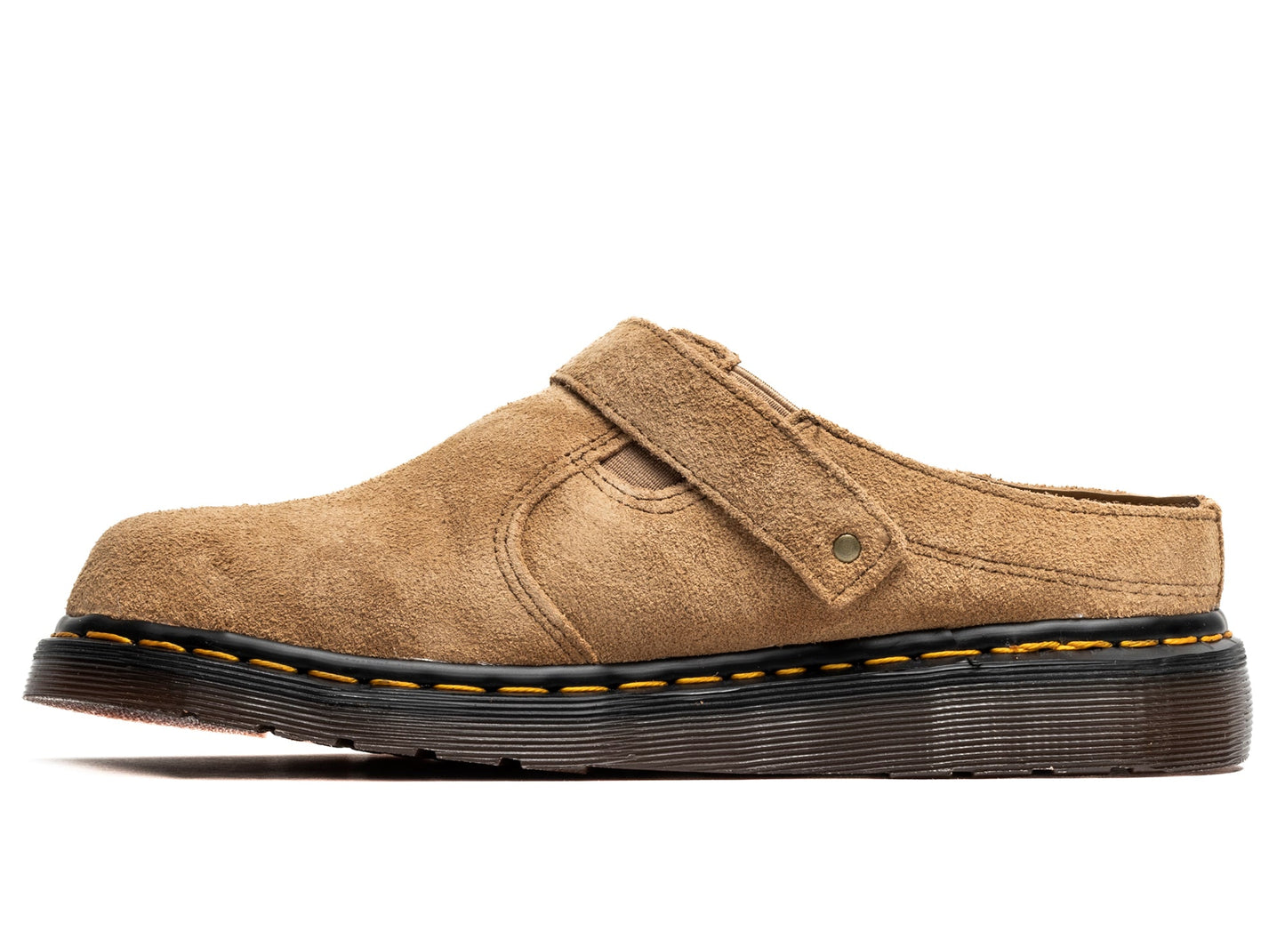 studio-shot-v9-61571