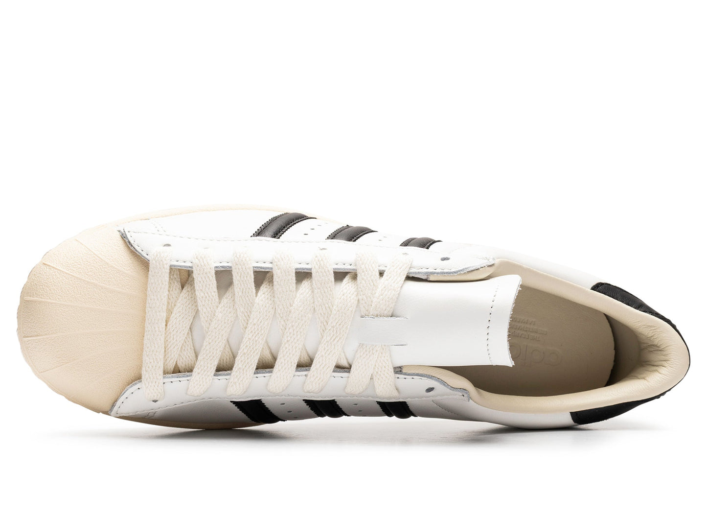 studio-shot-v9-51173