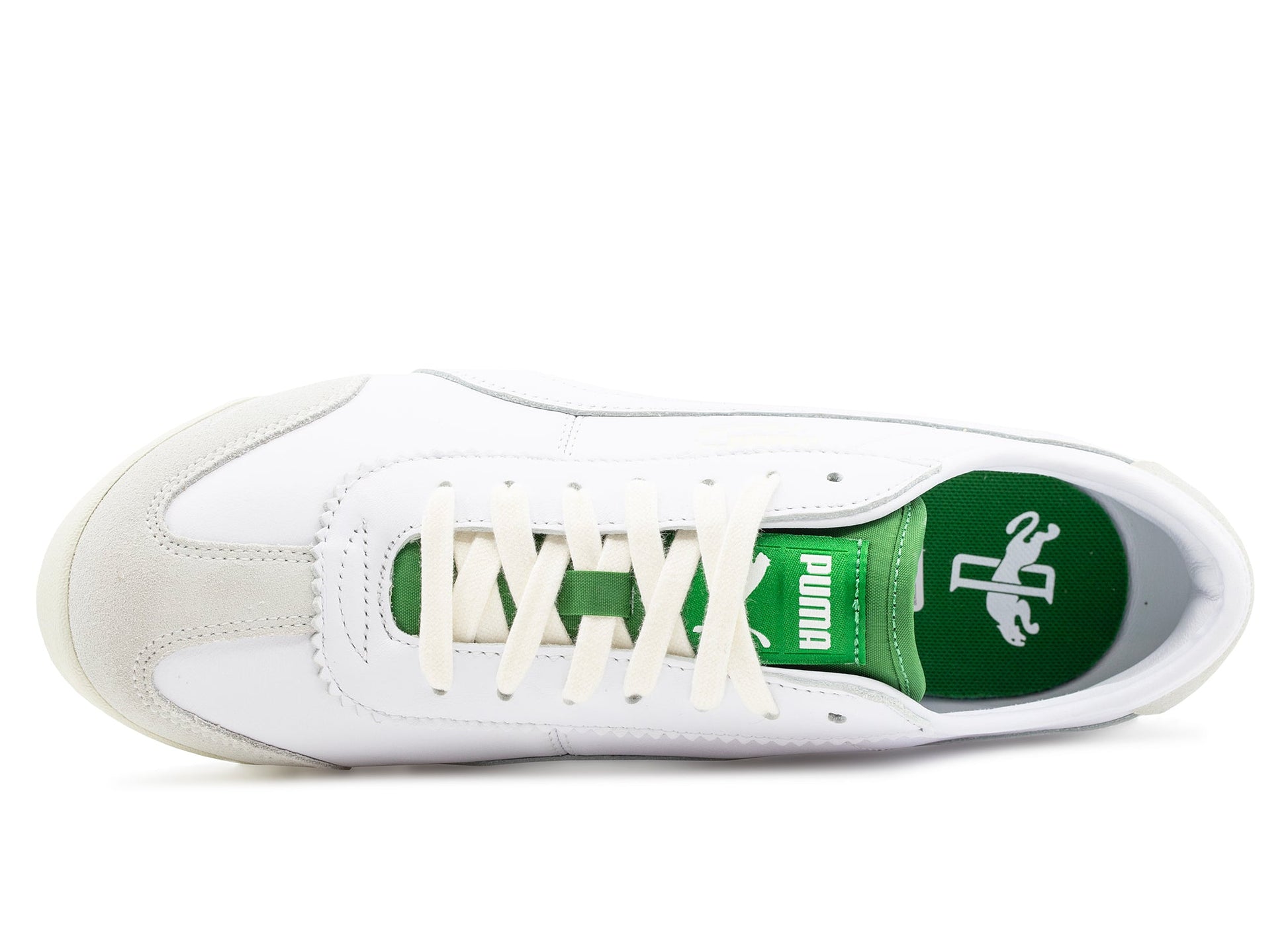 studio-shot-v9-39522