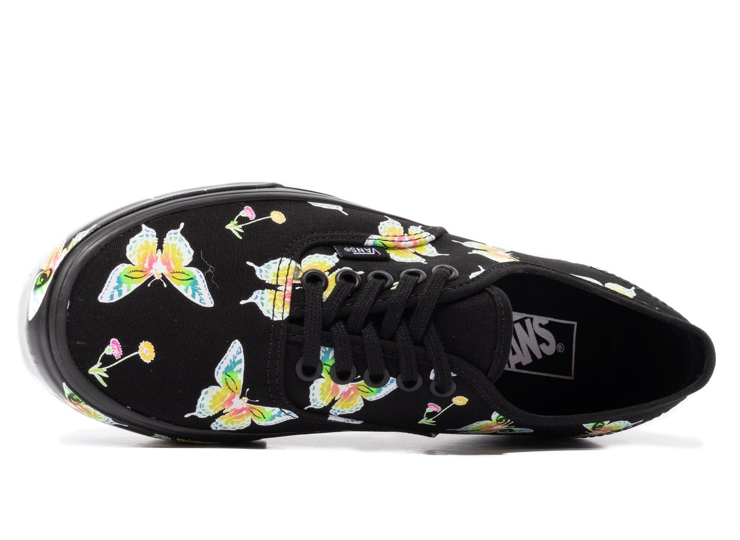 studio-shot-v9-24750