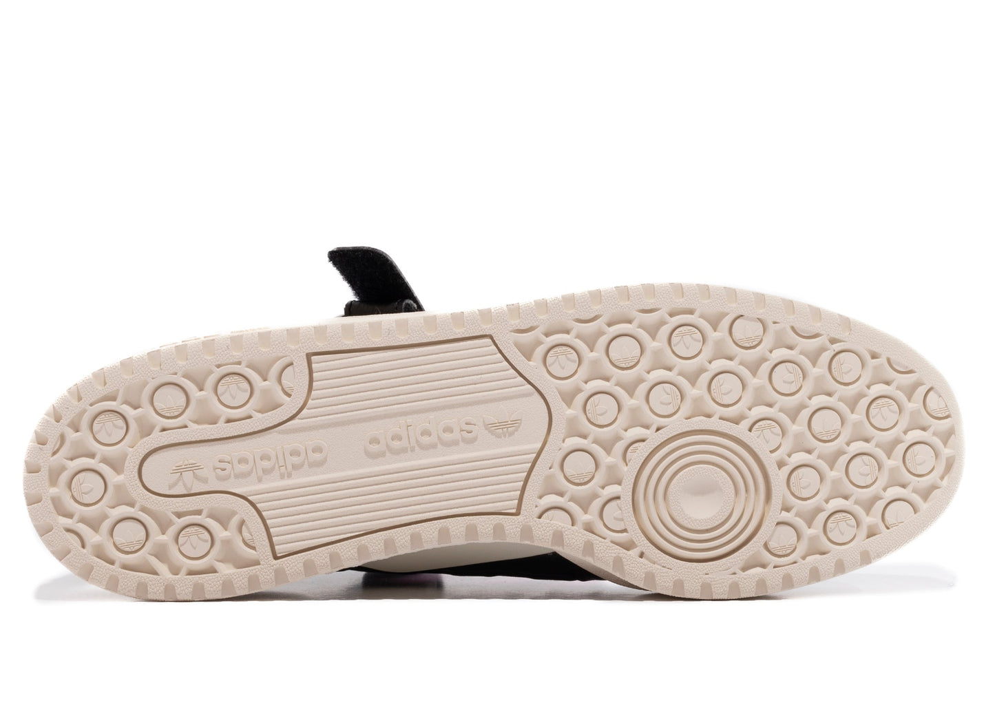 studio-shot-v9-88129