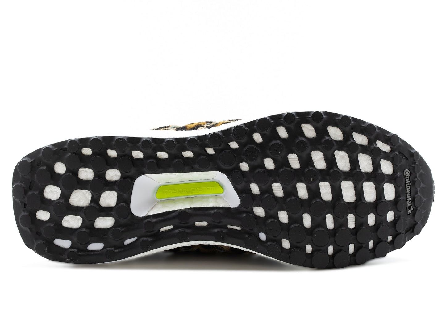 studio-shot-v9-32652