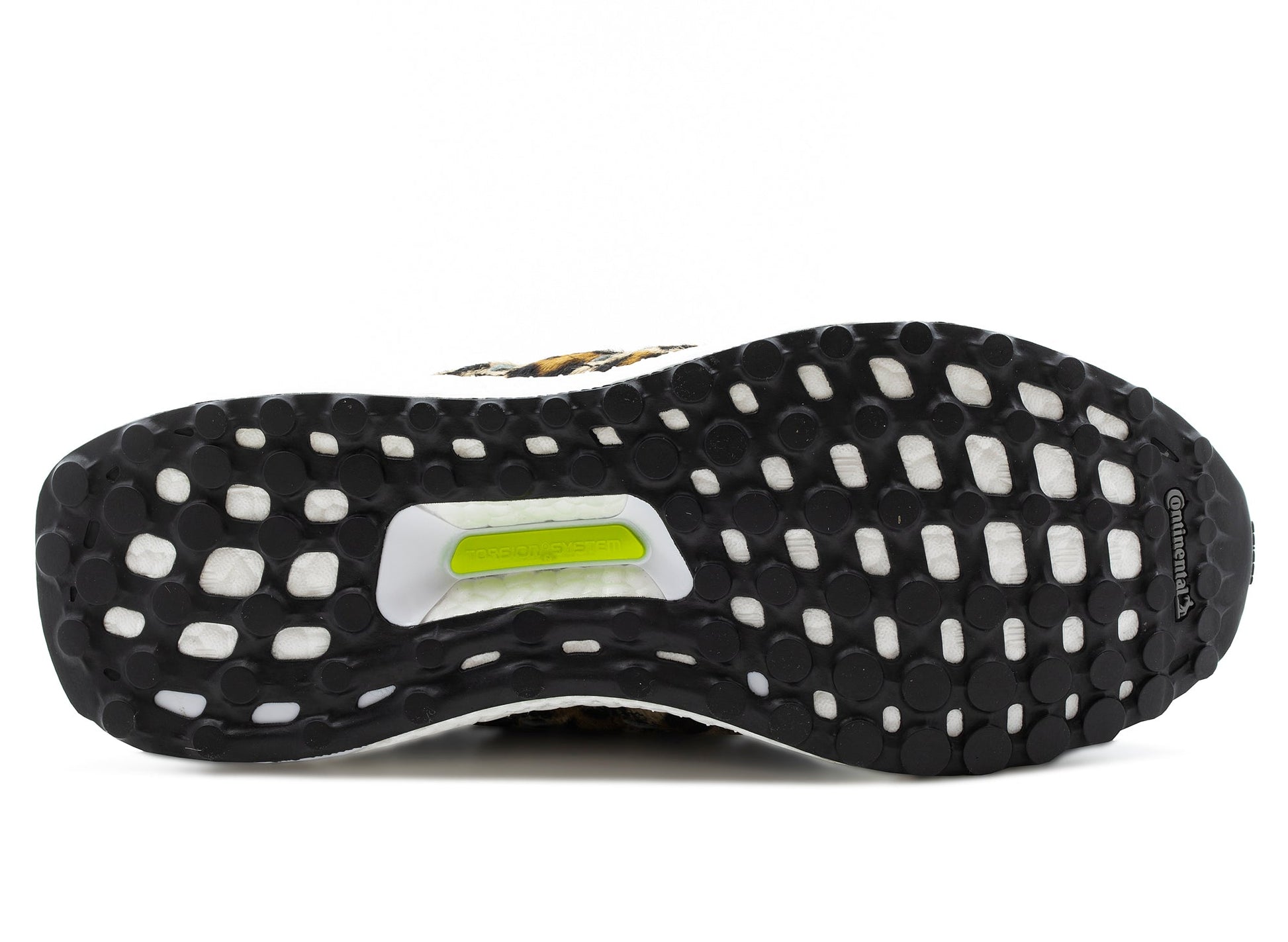 studio-shot-v9-32652