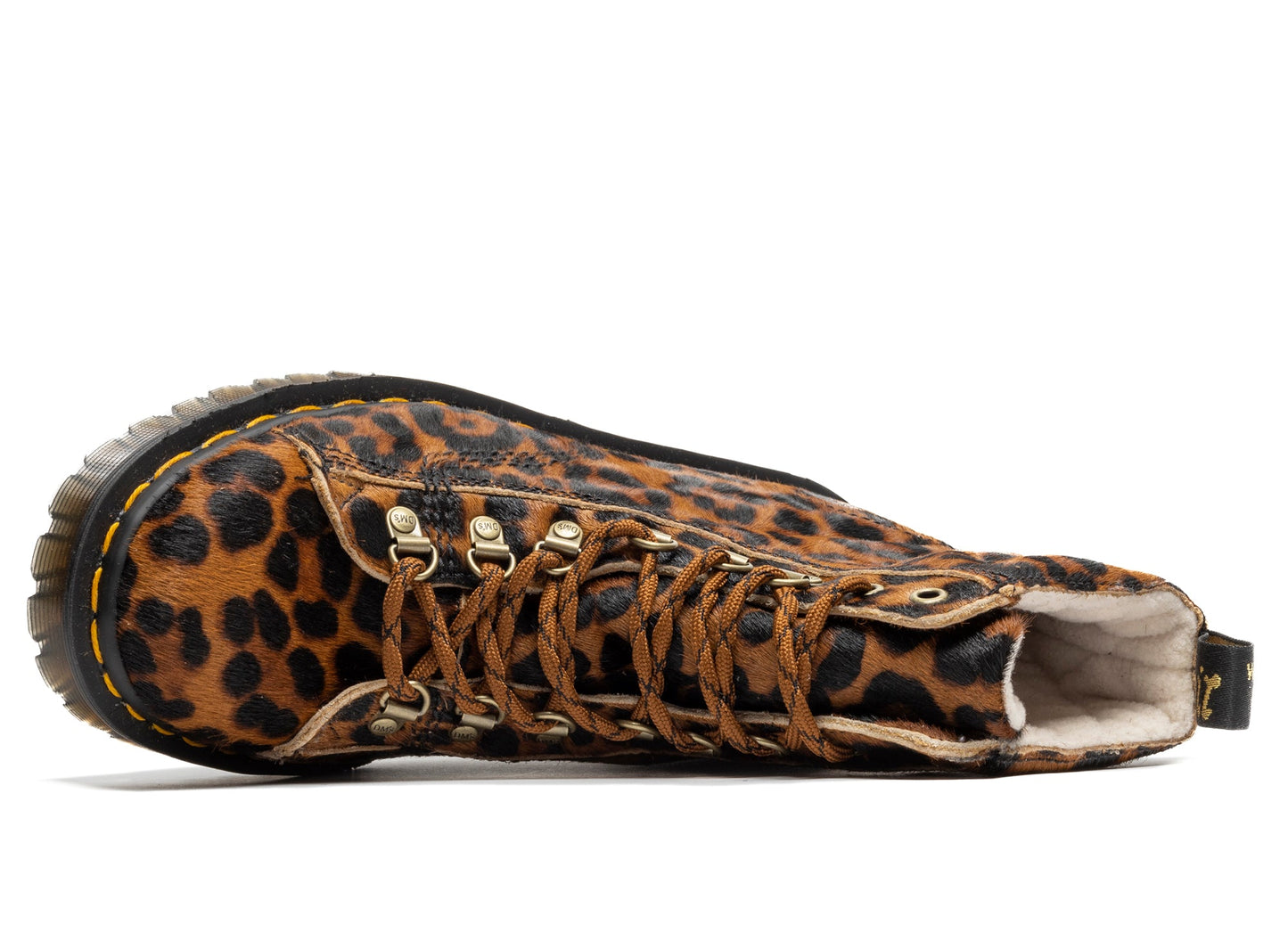 studio-shot-v9-57918