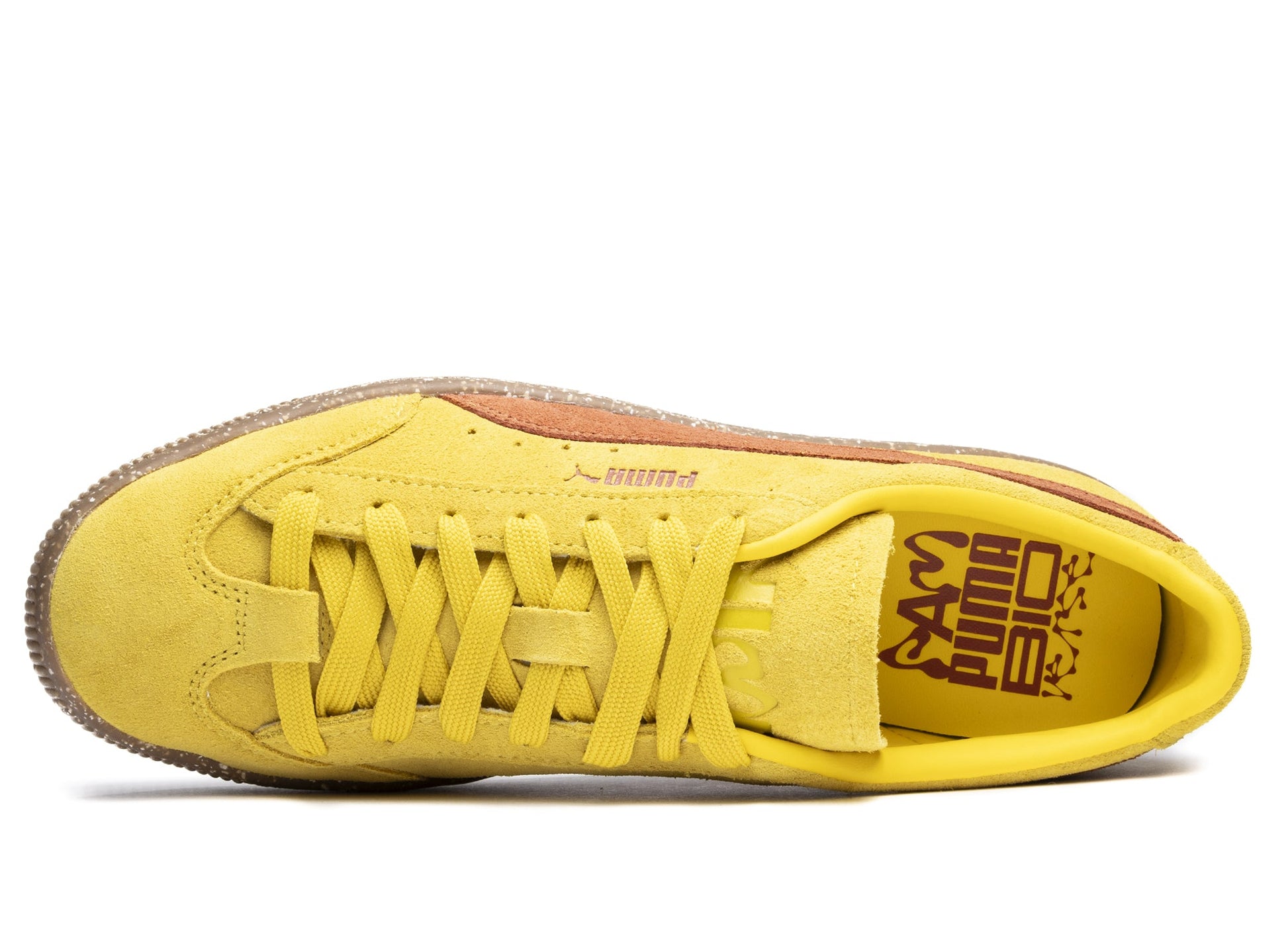 studio-shot-v9-66370