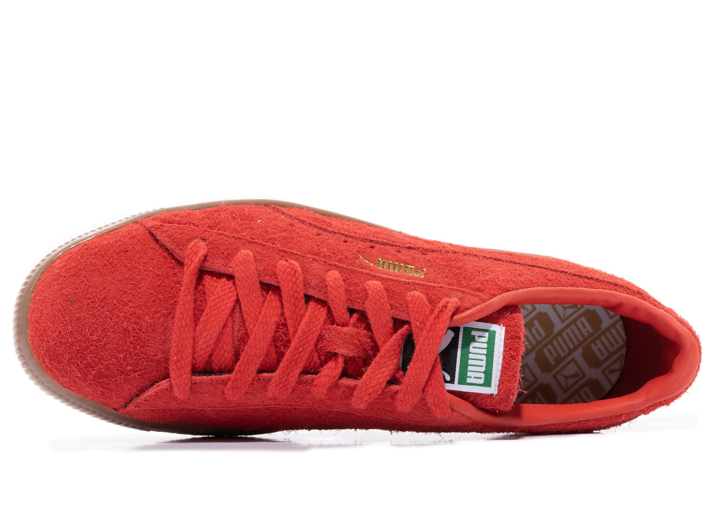 studio-shot-v9-84871