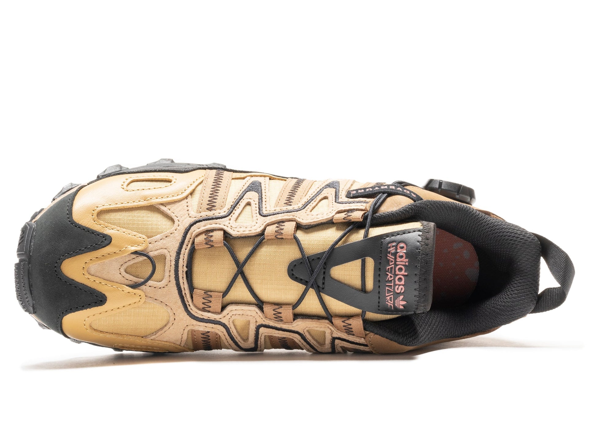 studio-shot-v9-62582