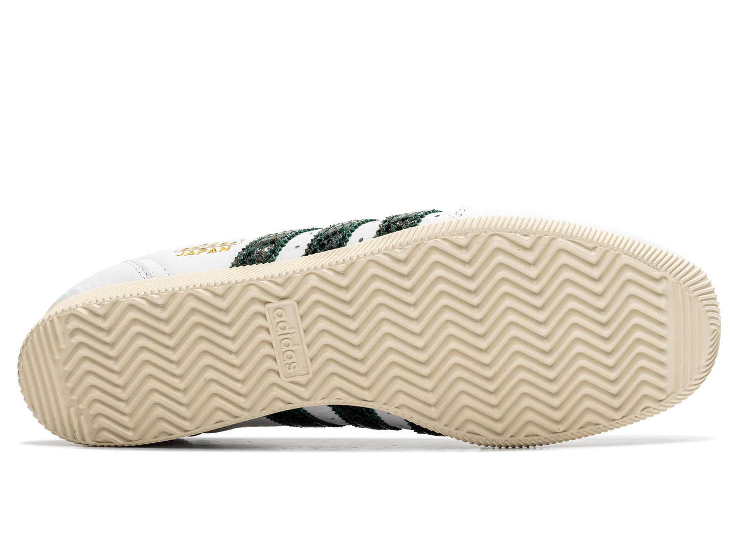 studio-shot-v9-43782