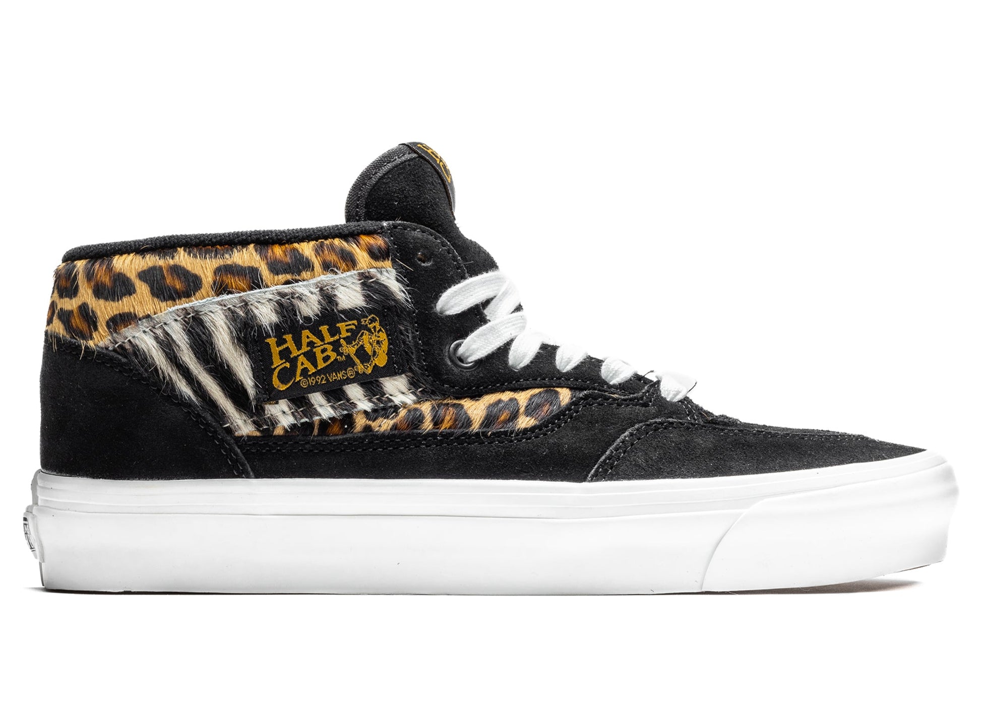 studio-shot-v9-37849