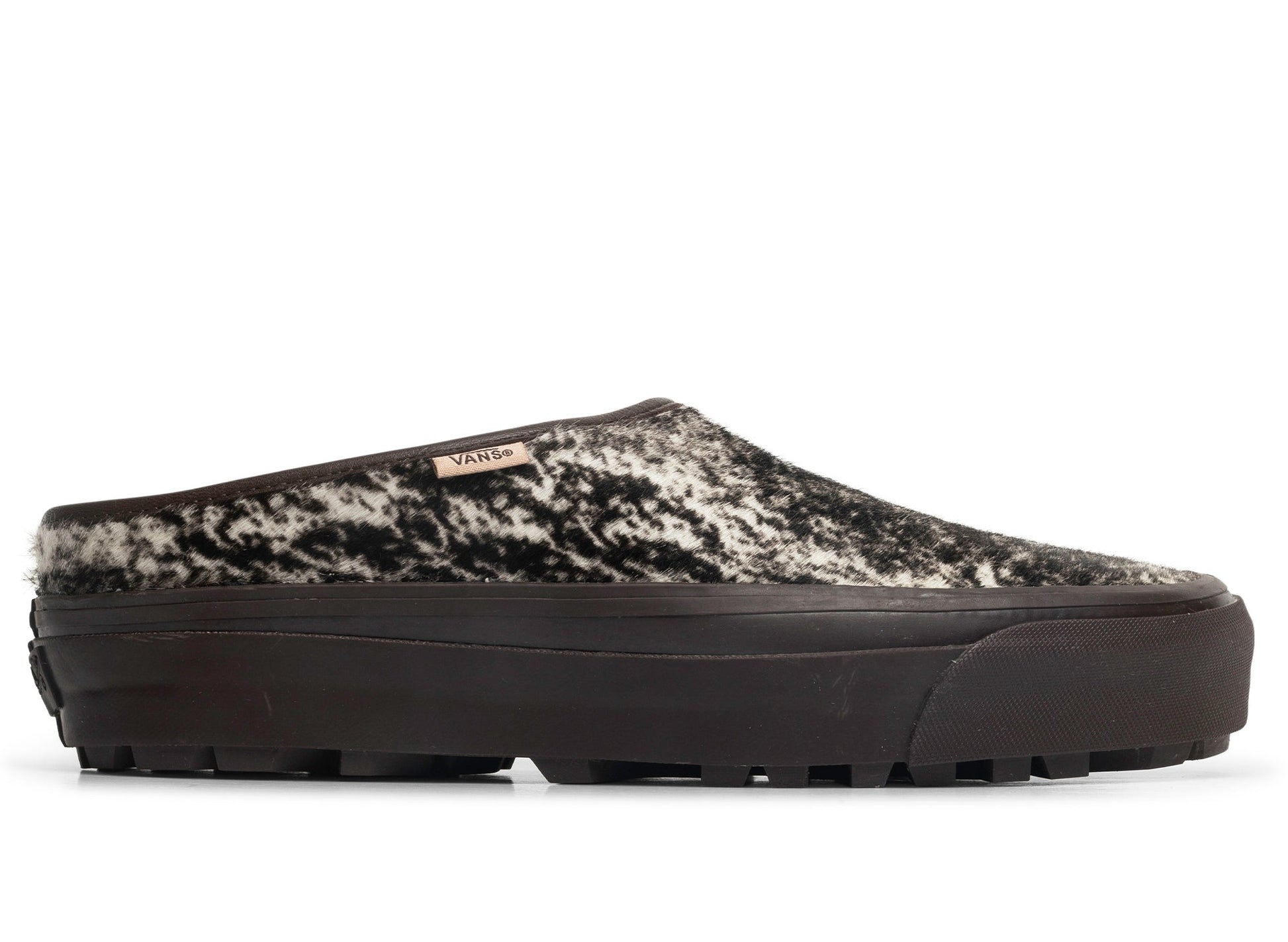 studio-shot-v9-19793