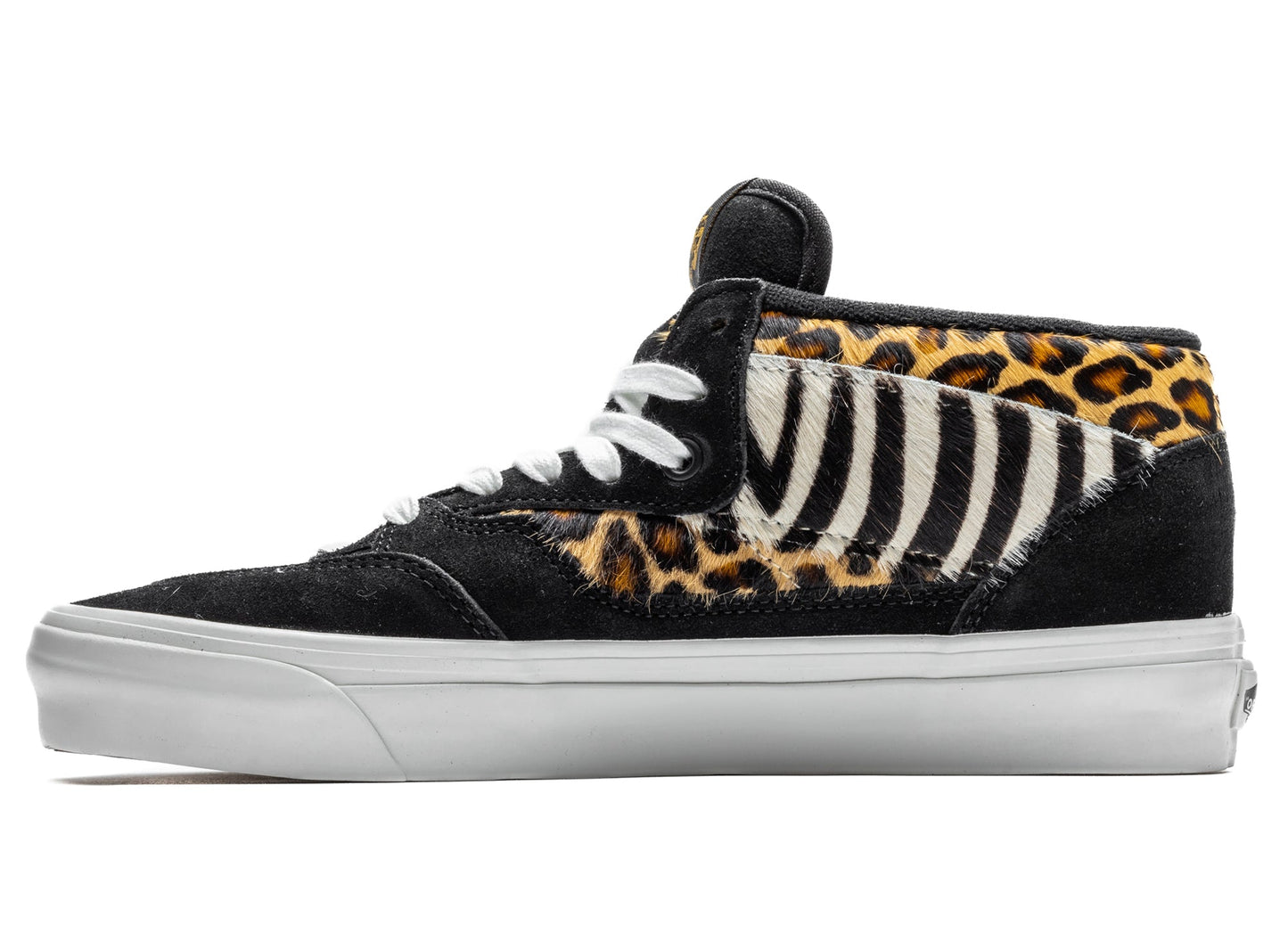 studio-shot-v9-25064