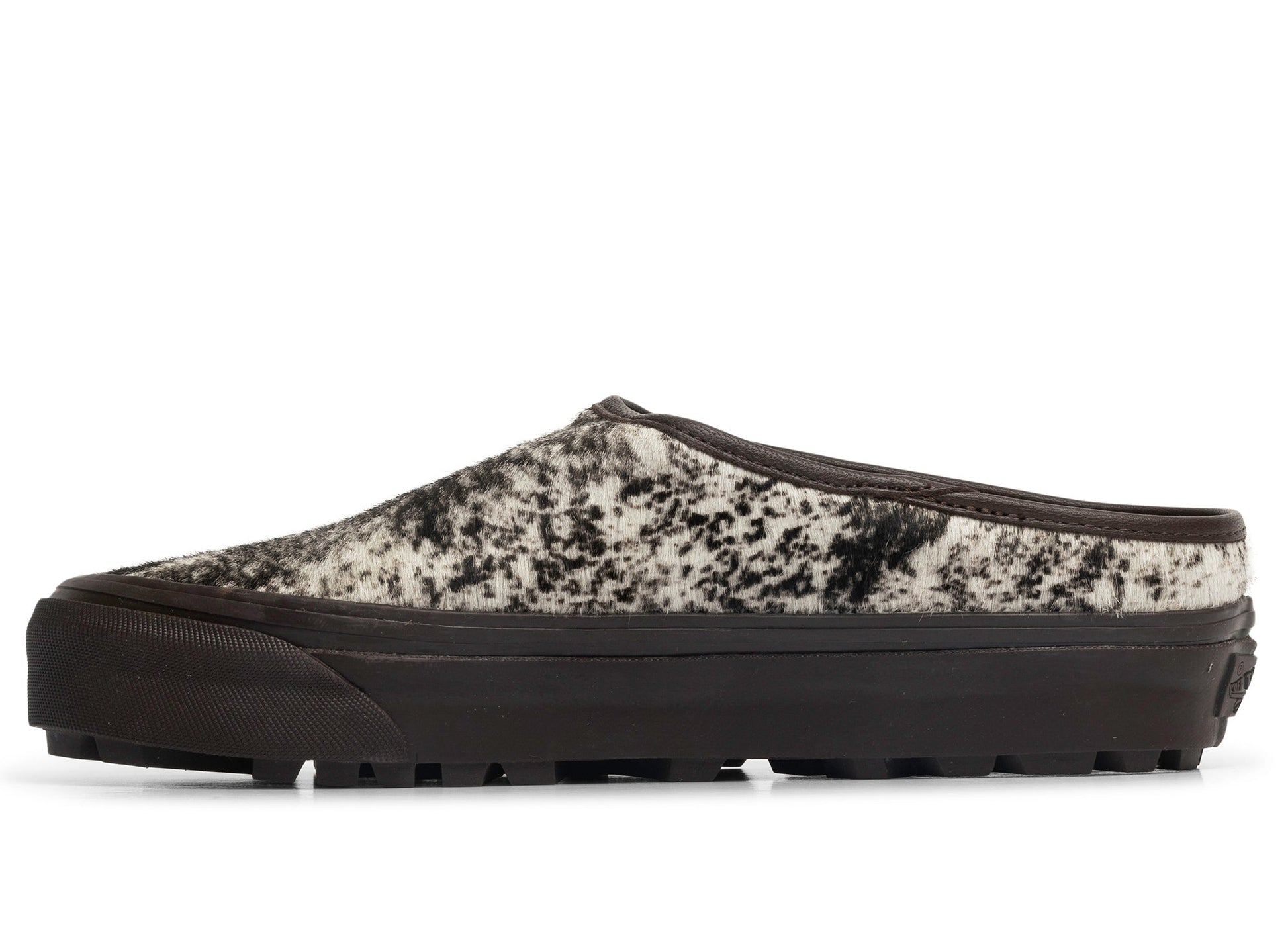 studio-shot-v9-53696