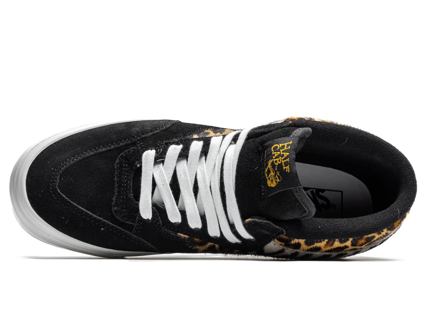 studio-shot-v9-13184