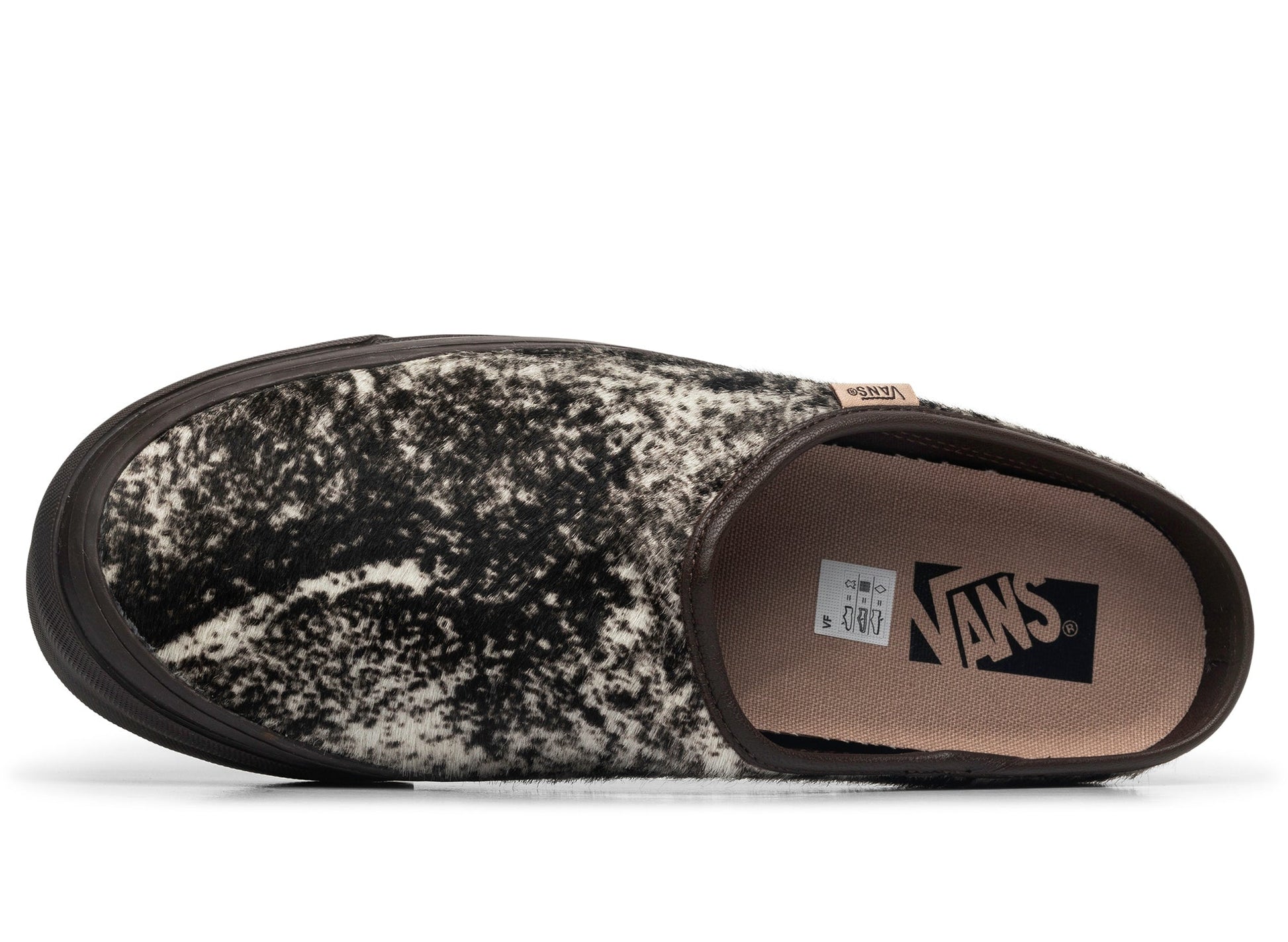 studio-shot-v9-24069