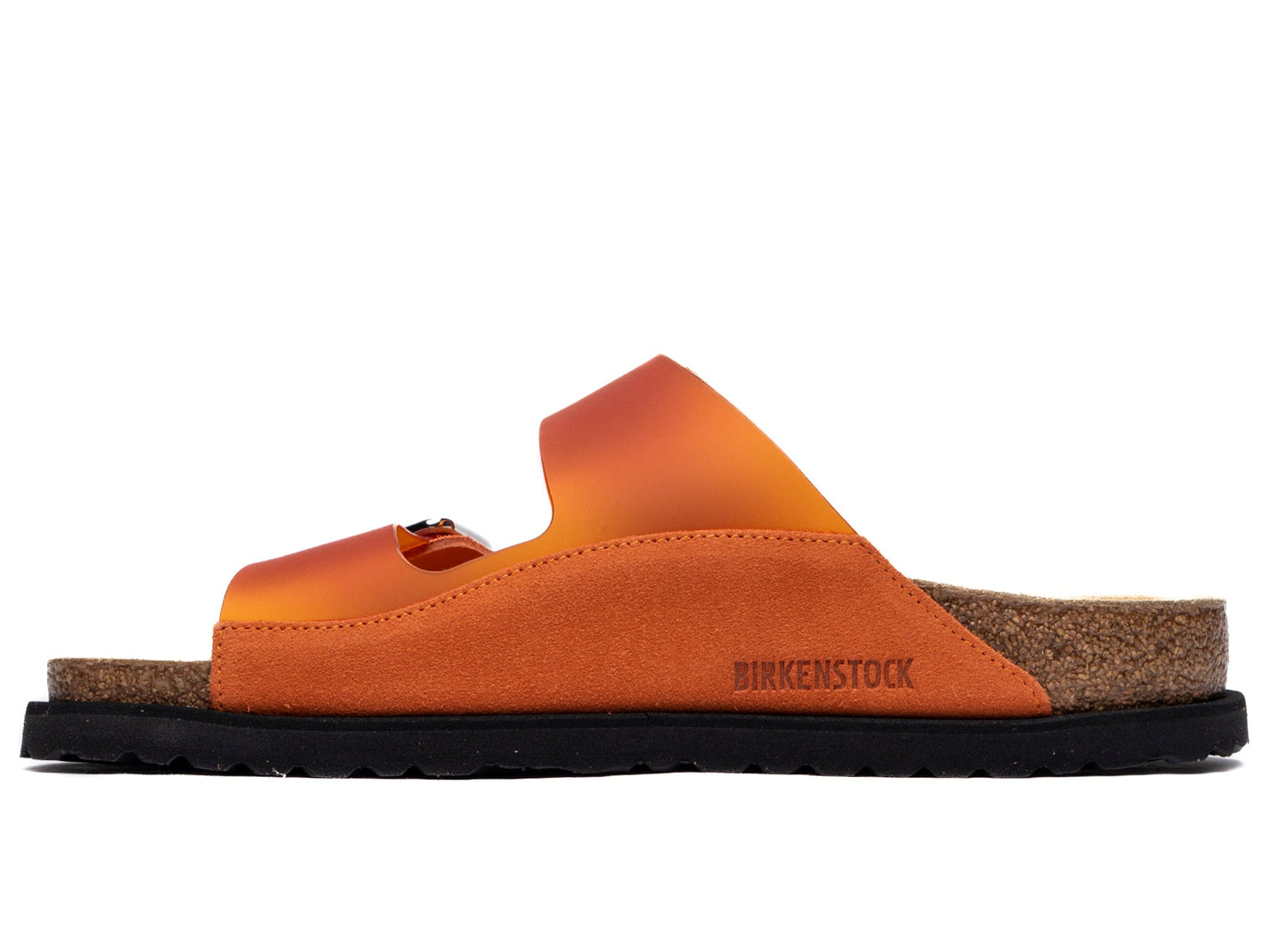 studio-shot-v9-48374