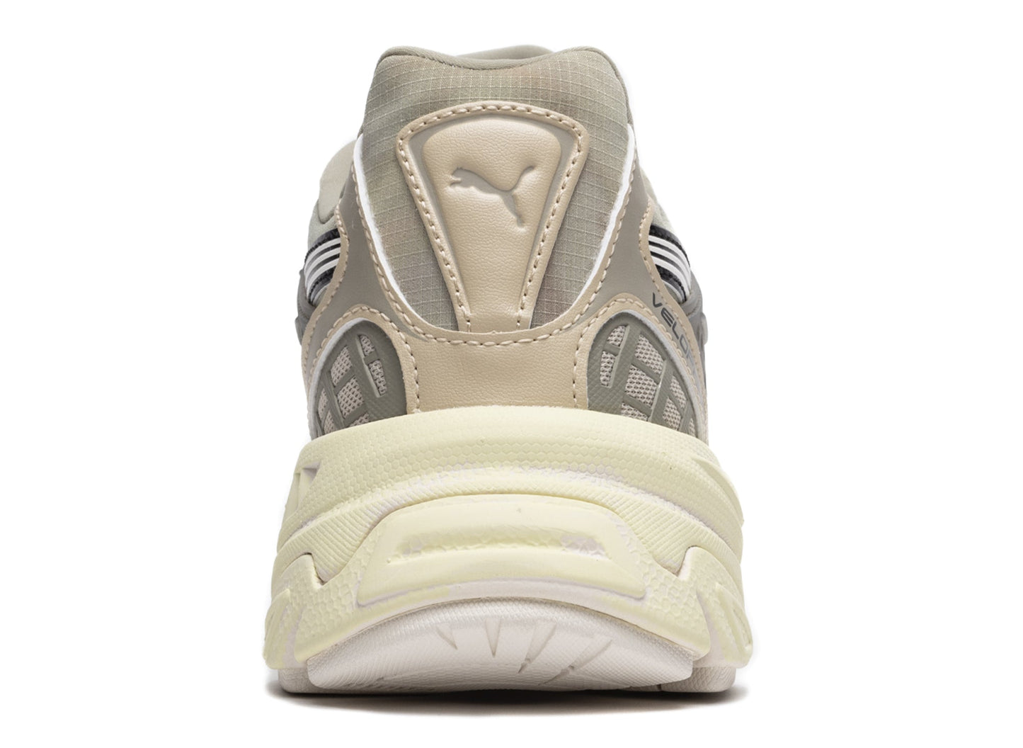 studio-shot-v9-47439