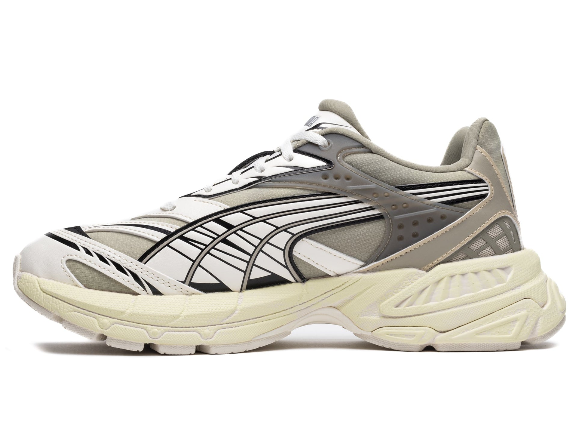 studio-shot-v9-19419